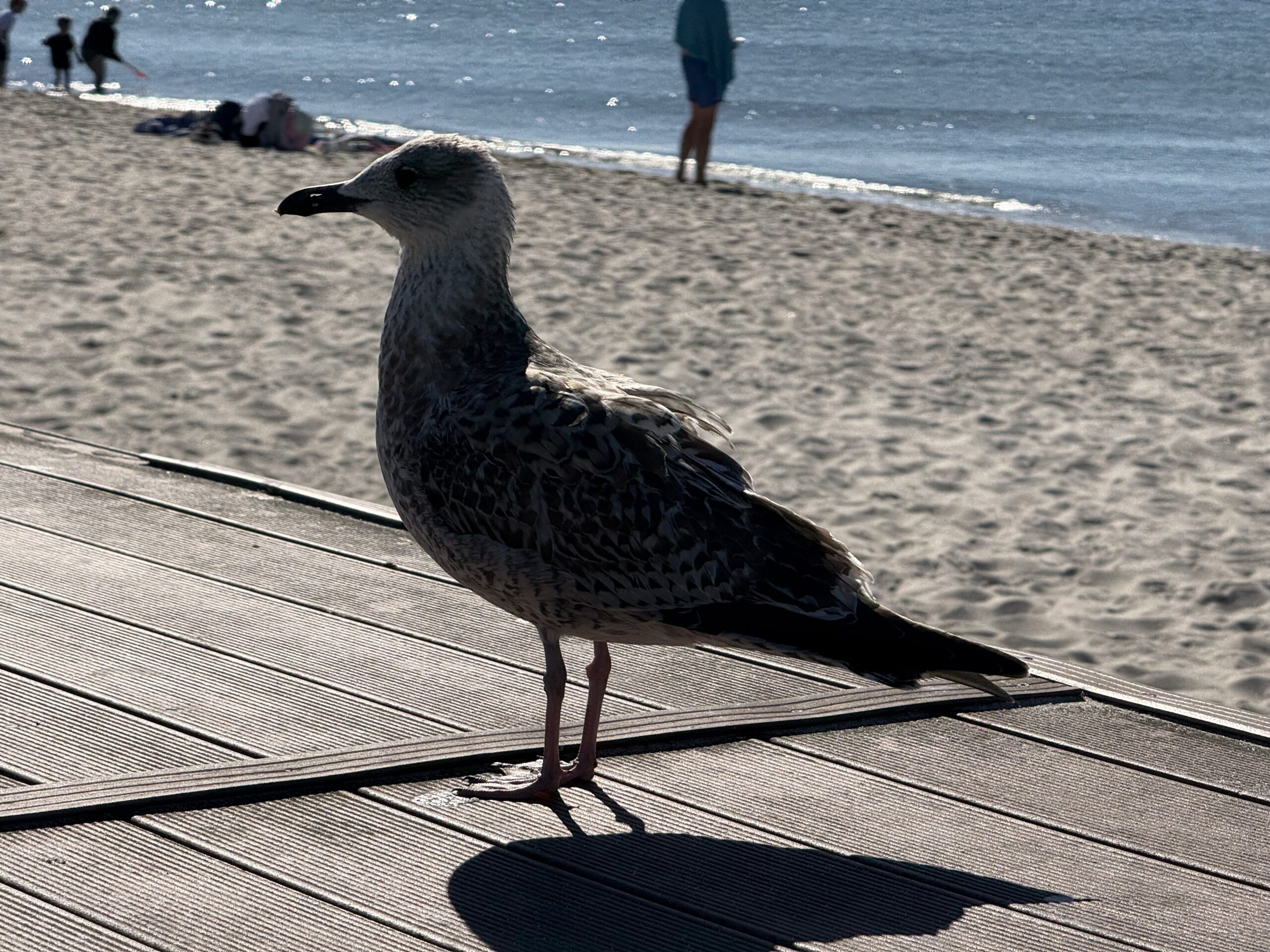 2025_09_28_My_Hel_05