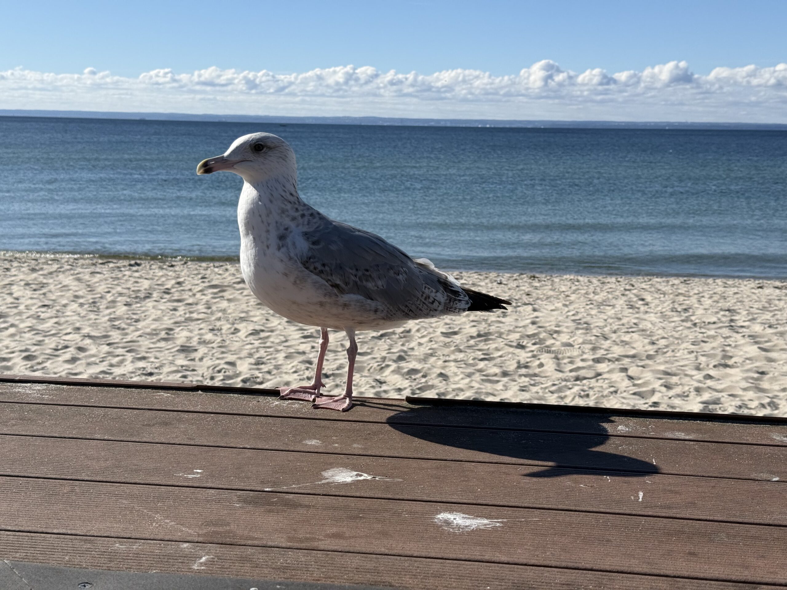 2025_09_28_My_Hel_06