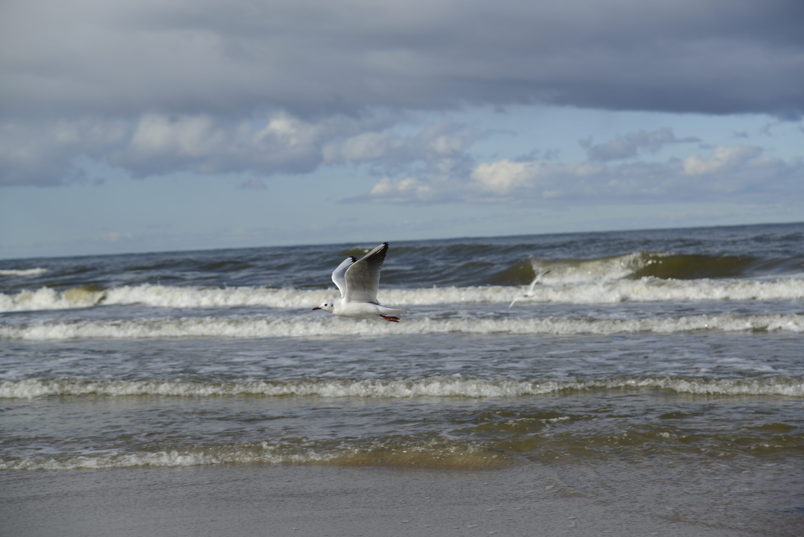 2025_10_19_Krynica_Morska_07