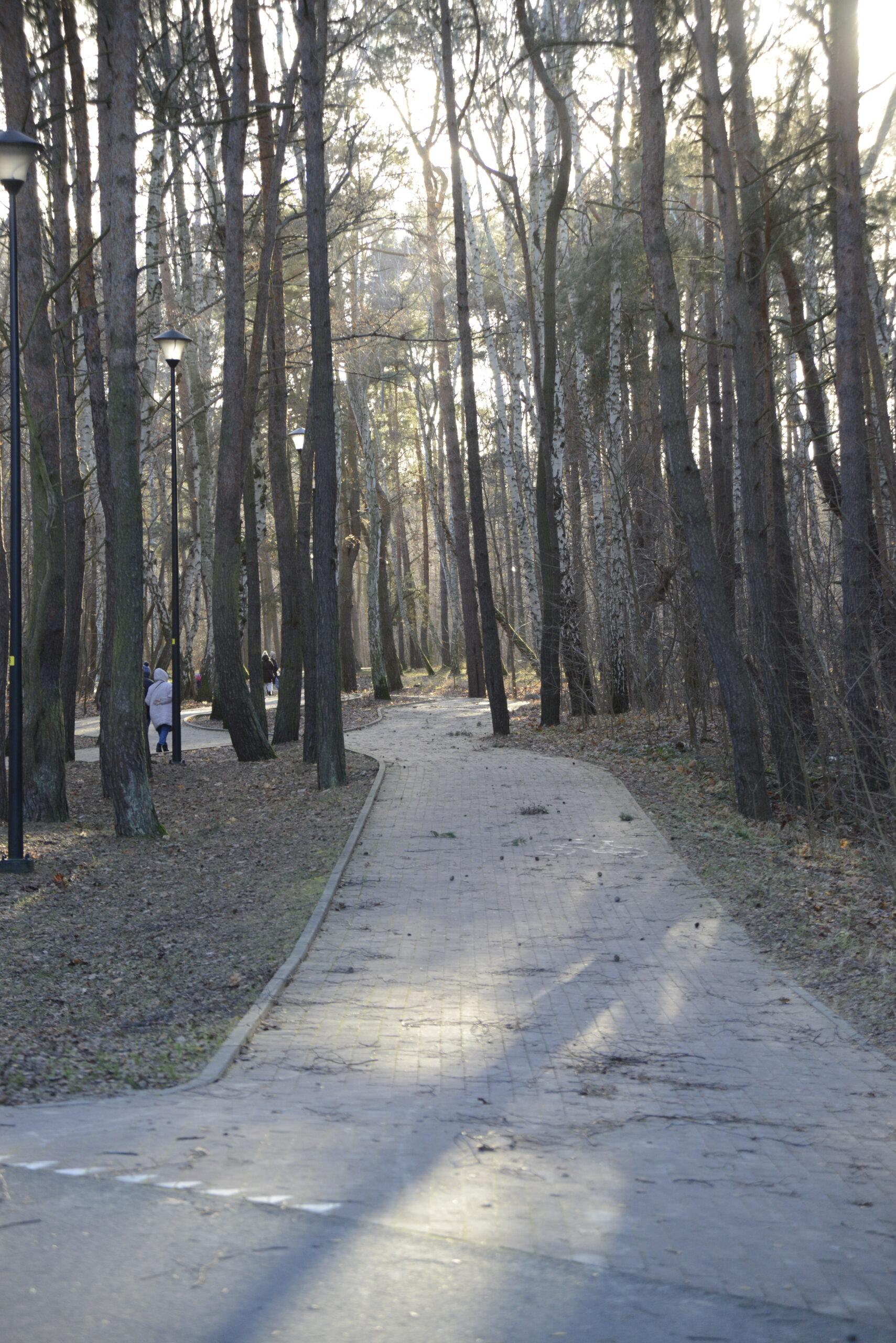 2025_12_28_Molo_w_Brzeznie_02