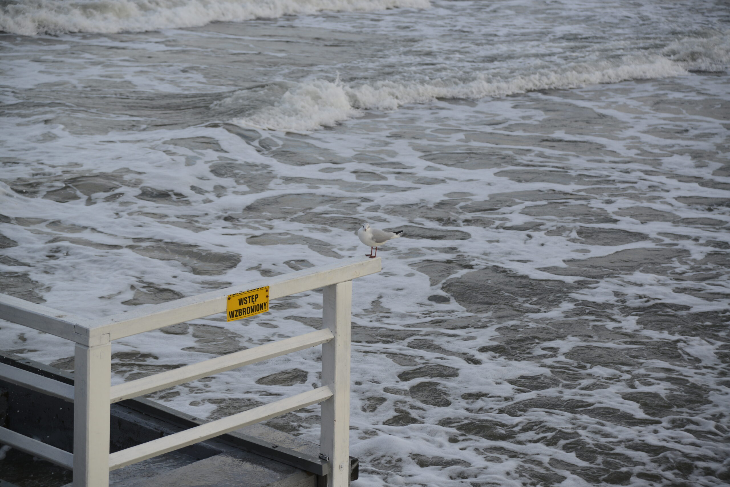 2025_12_28_Molo_w_Brzeznie_04