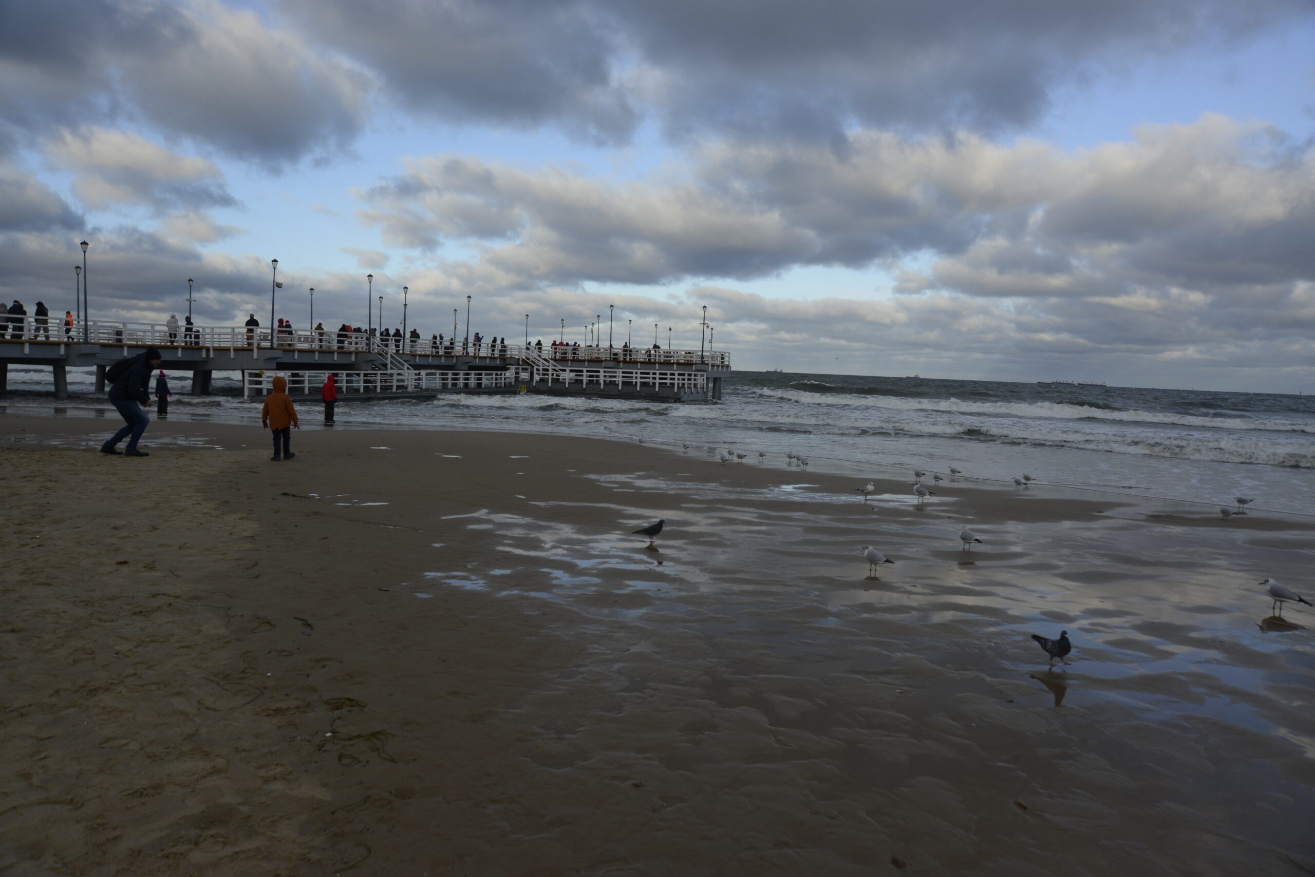 2025_12_28_Molo_w_Brzeznie_19