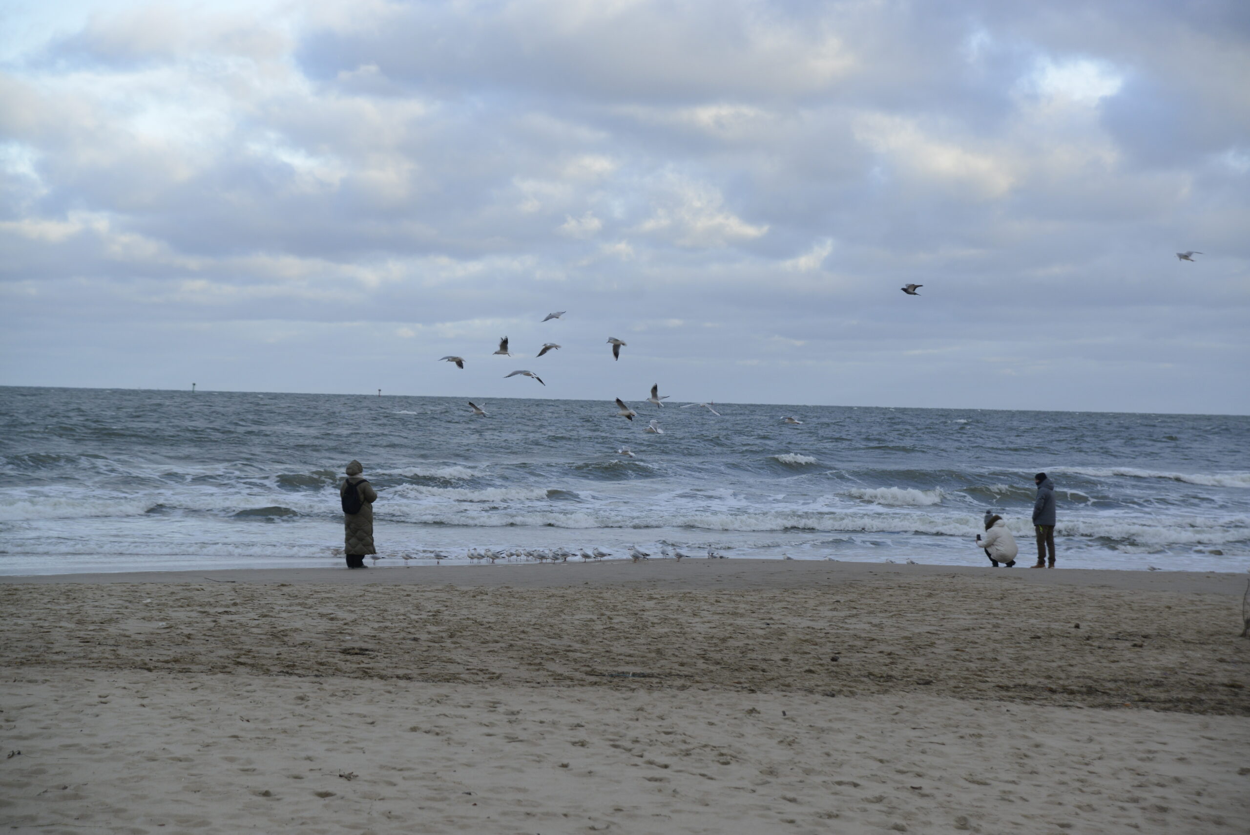 2025_12_28_Molo_w_Brzeznie_22