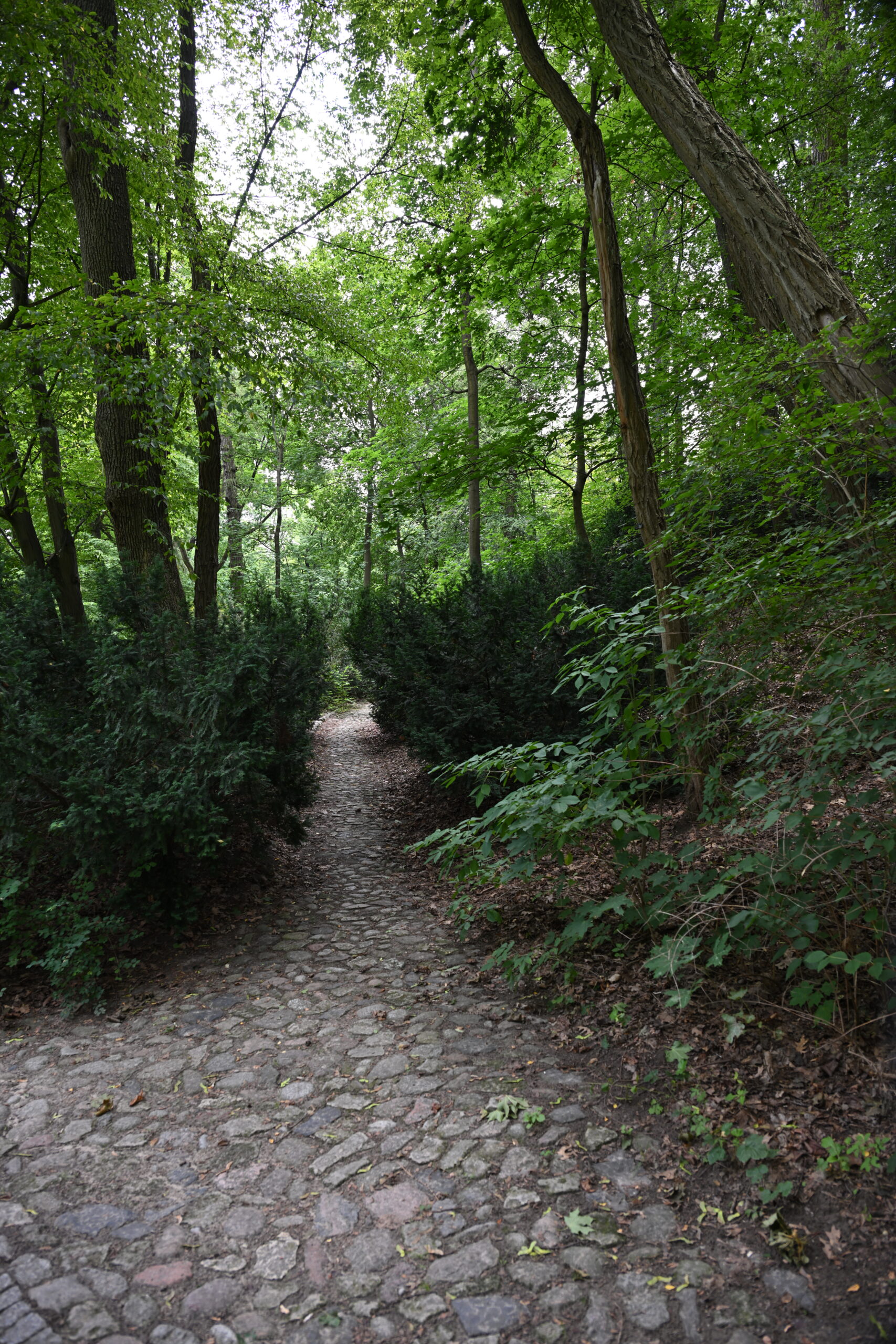 2026_07_23_Warszawa_05