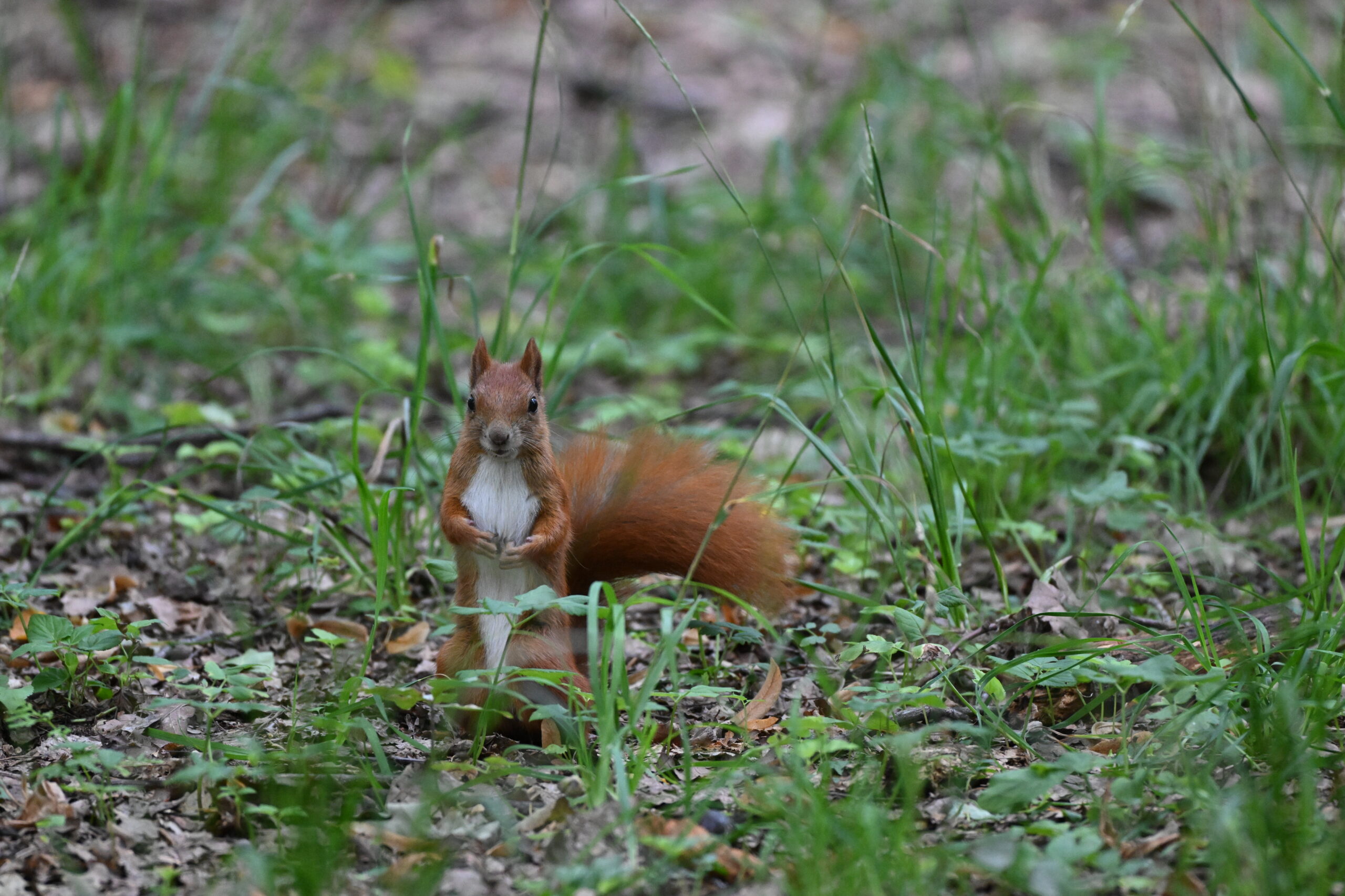2026_07_23_Warszawa_25