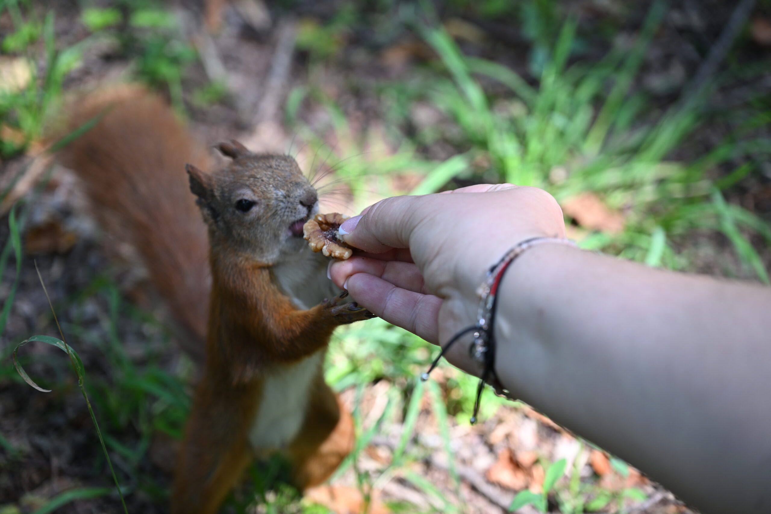2026_07_23_Warszawa_52