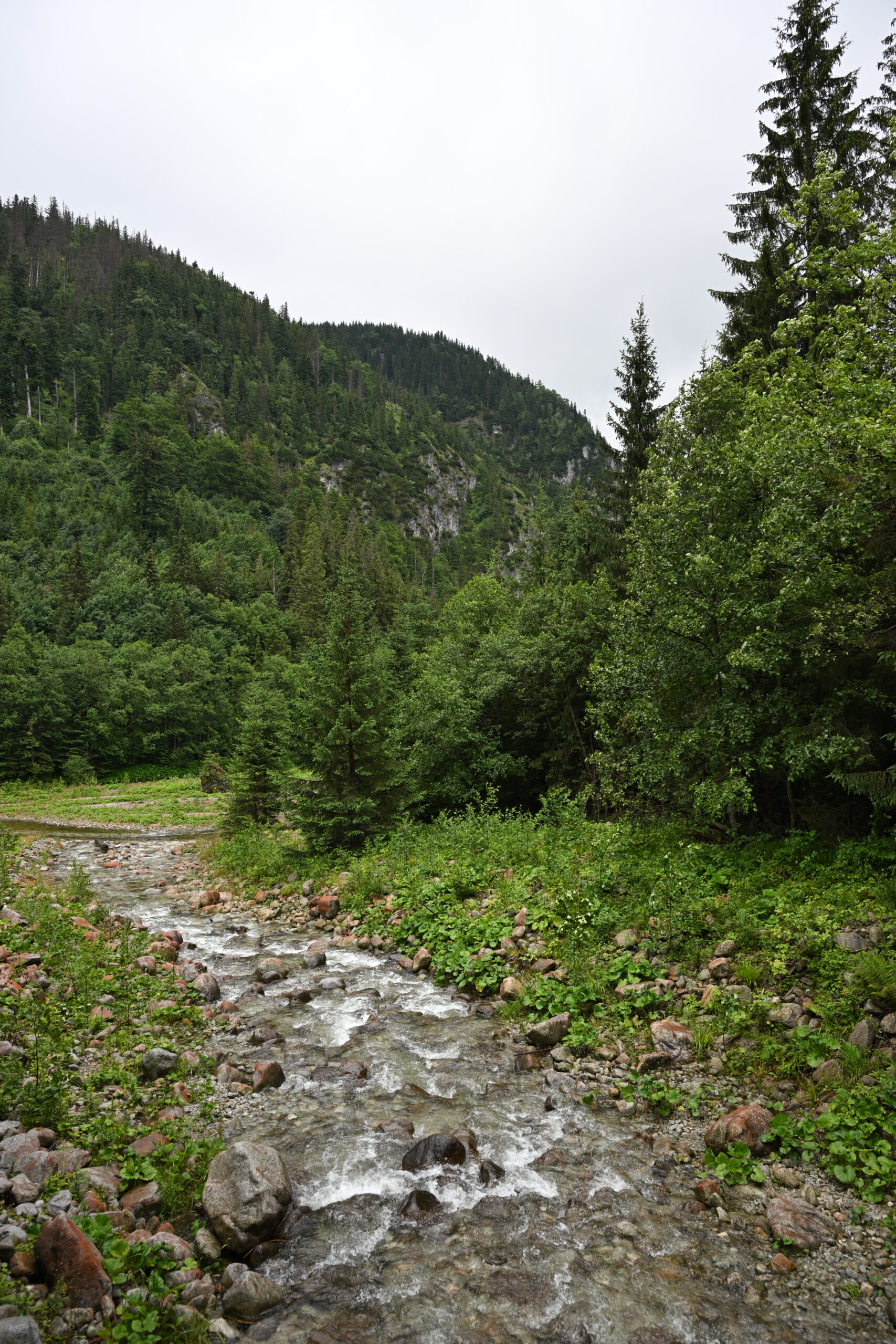 2026_07_24_Morskie_Oko_001