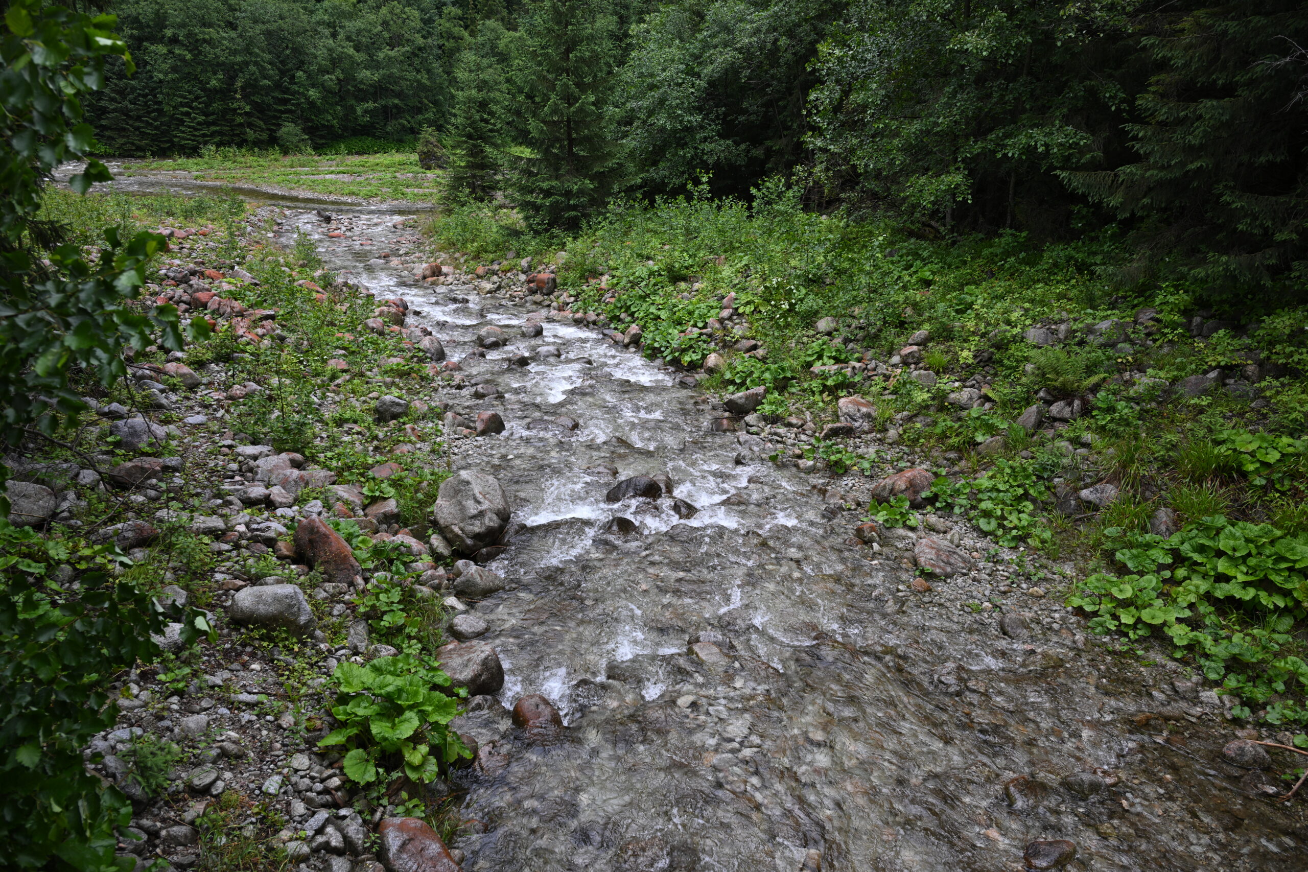 2026_07_24_Morskie_Oko_002