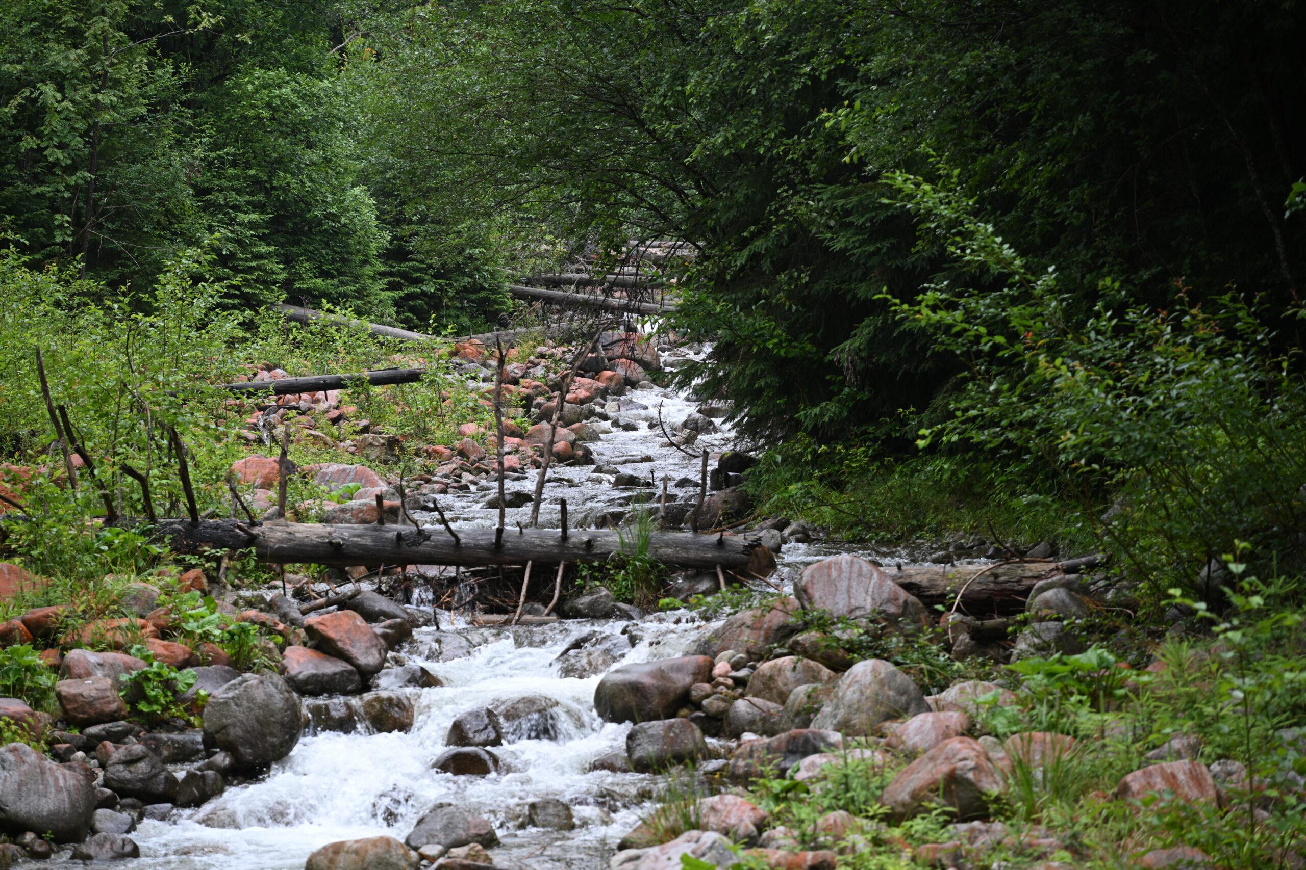 2026_07_24_Morskie_Oko_004