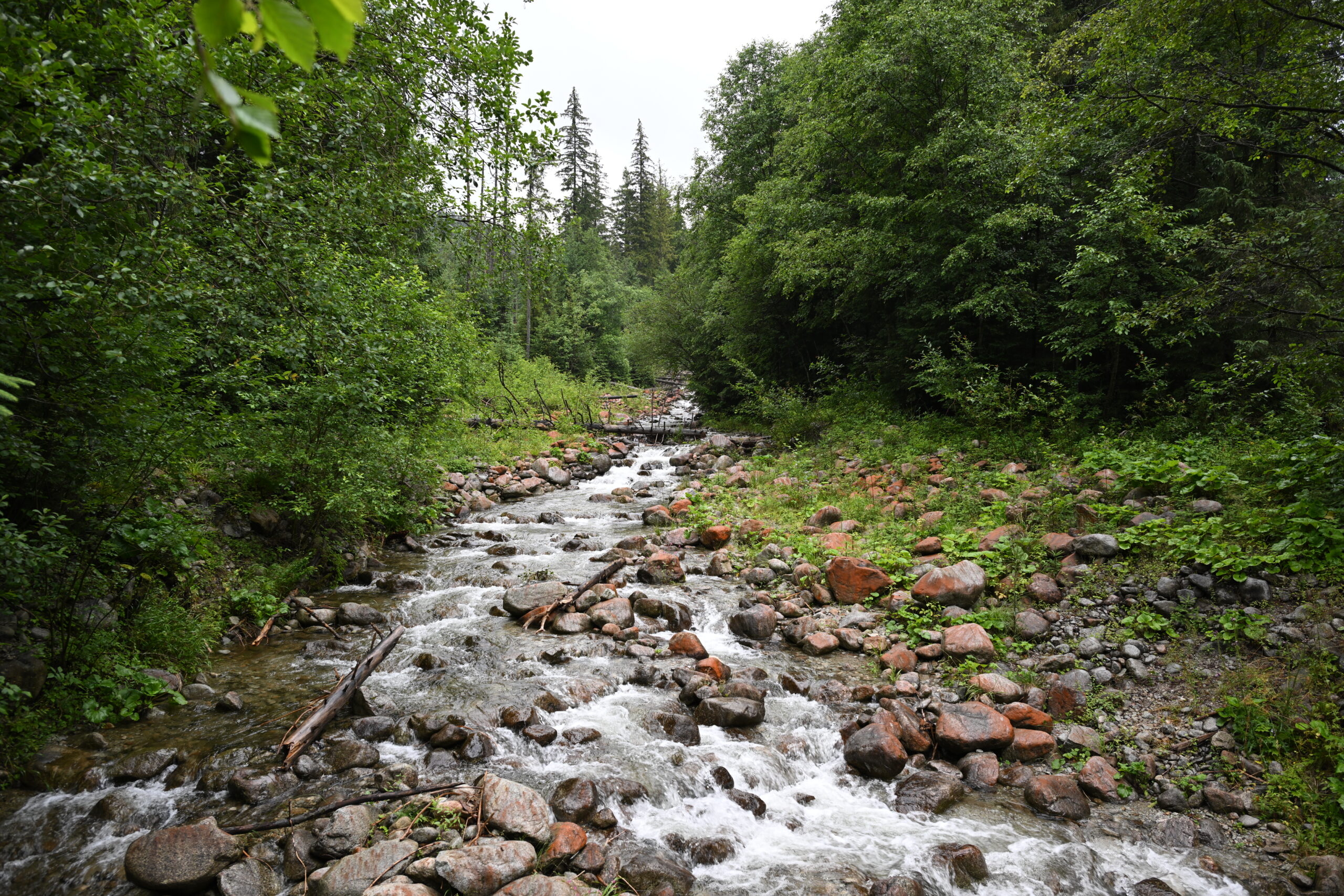 2026_07_24_Morskie_Oko_005