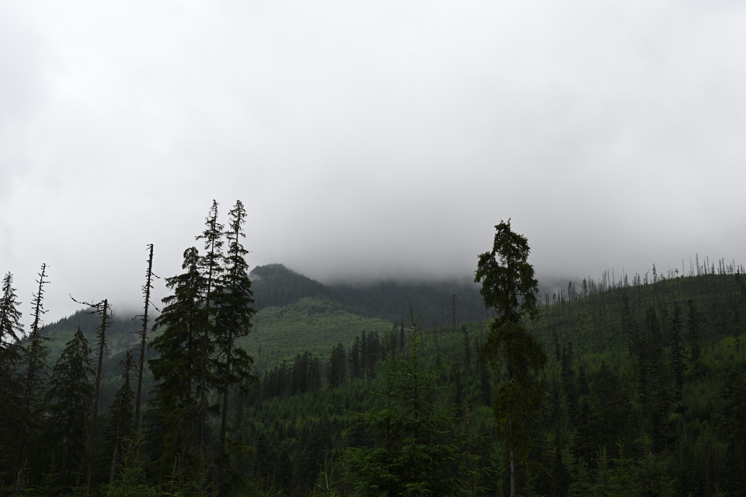 2026_07_24_Morskie_Oko_009