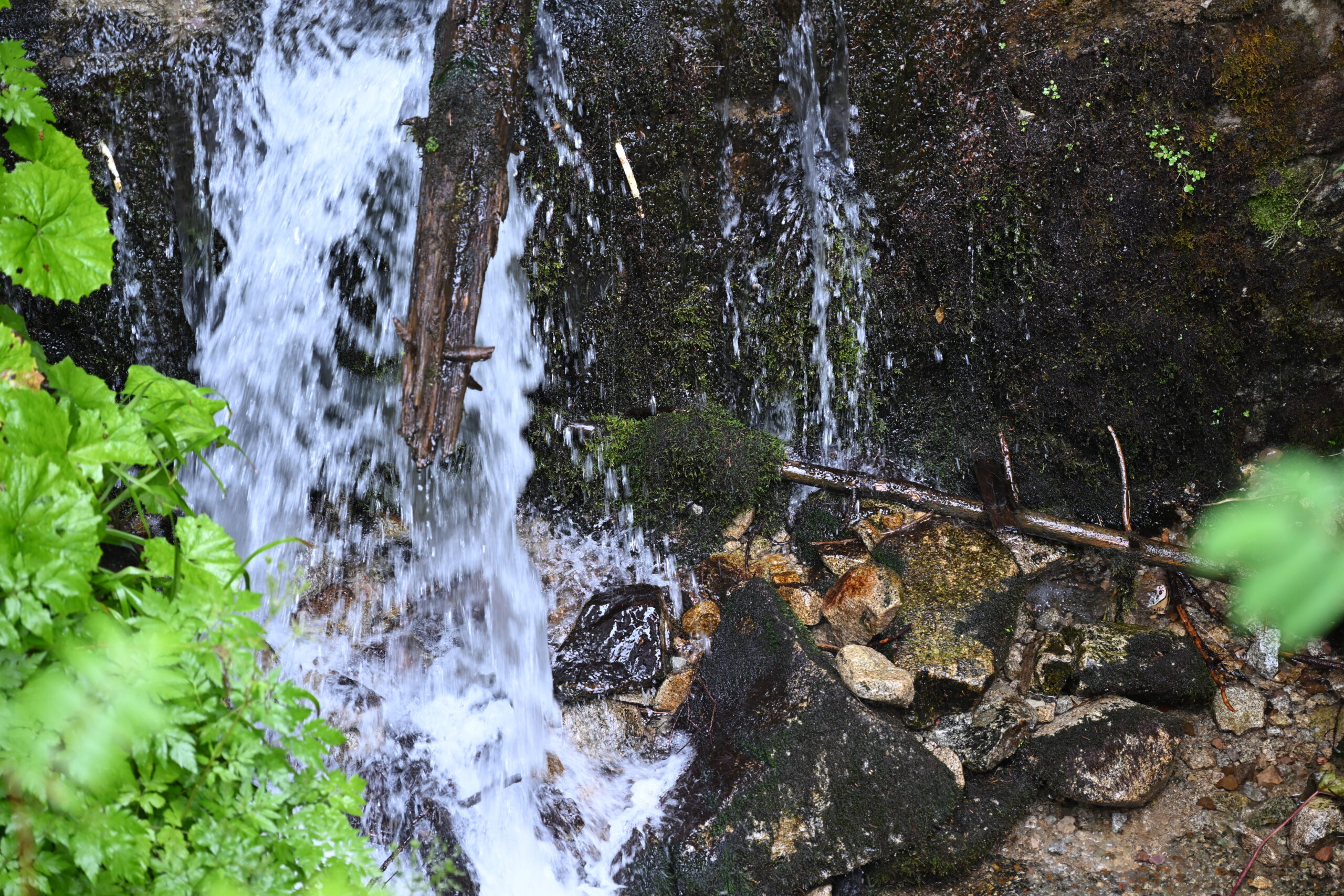 2026_07_24_Morskie_Oko_013