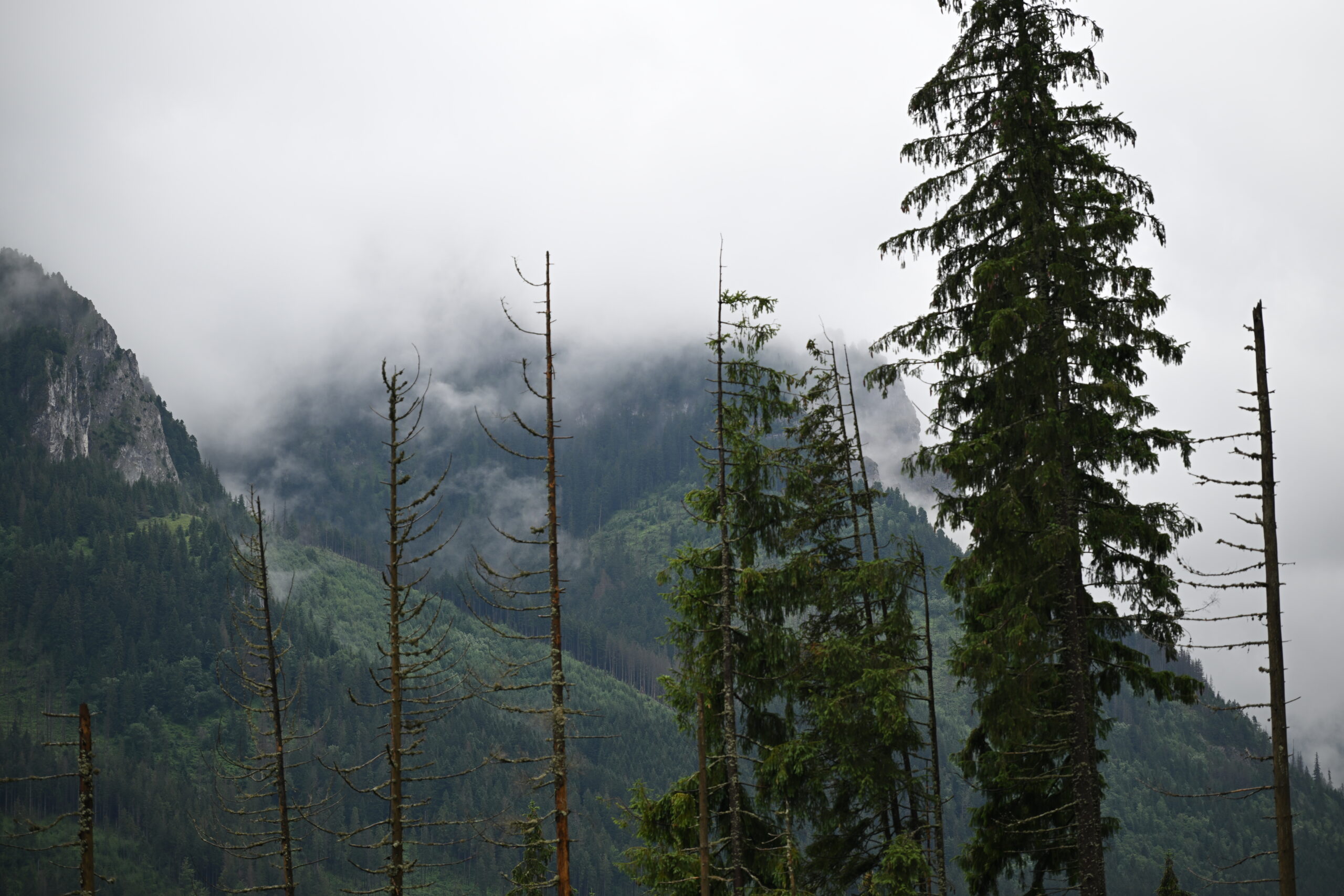 2026_07_24_Morskie_Oko_016
