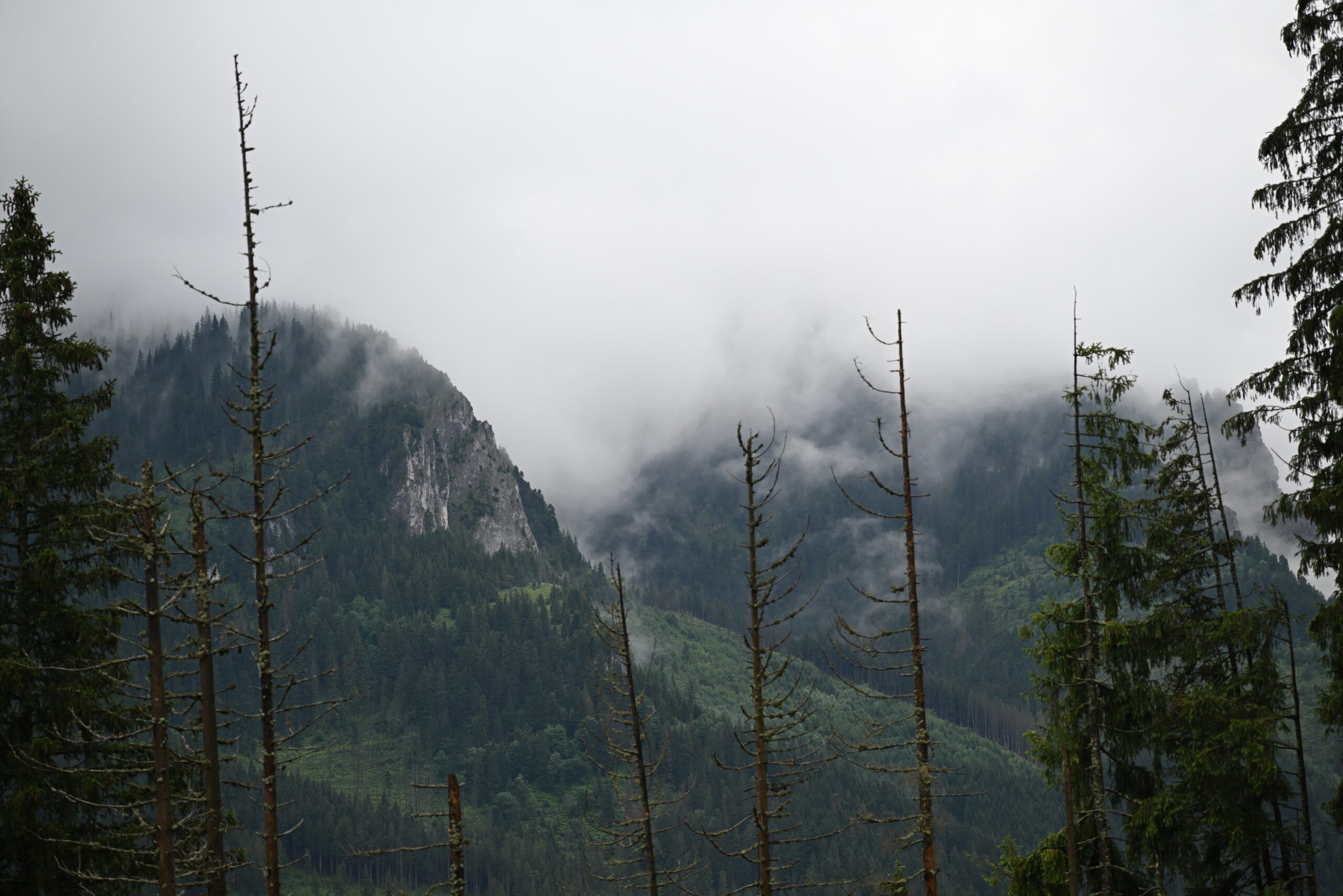 2026_07_24_Morskie_Oko_017