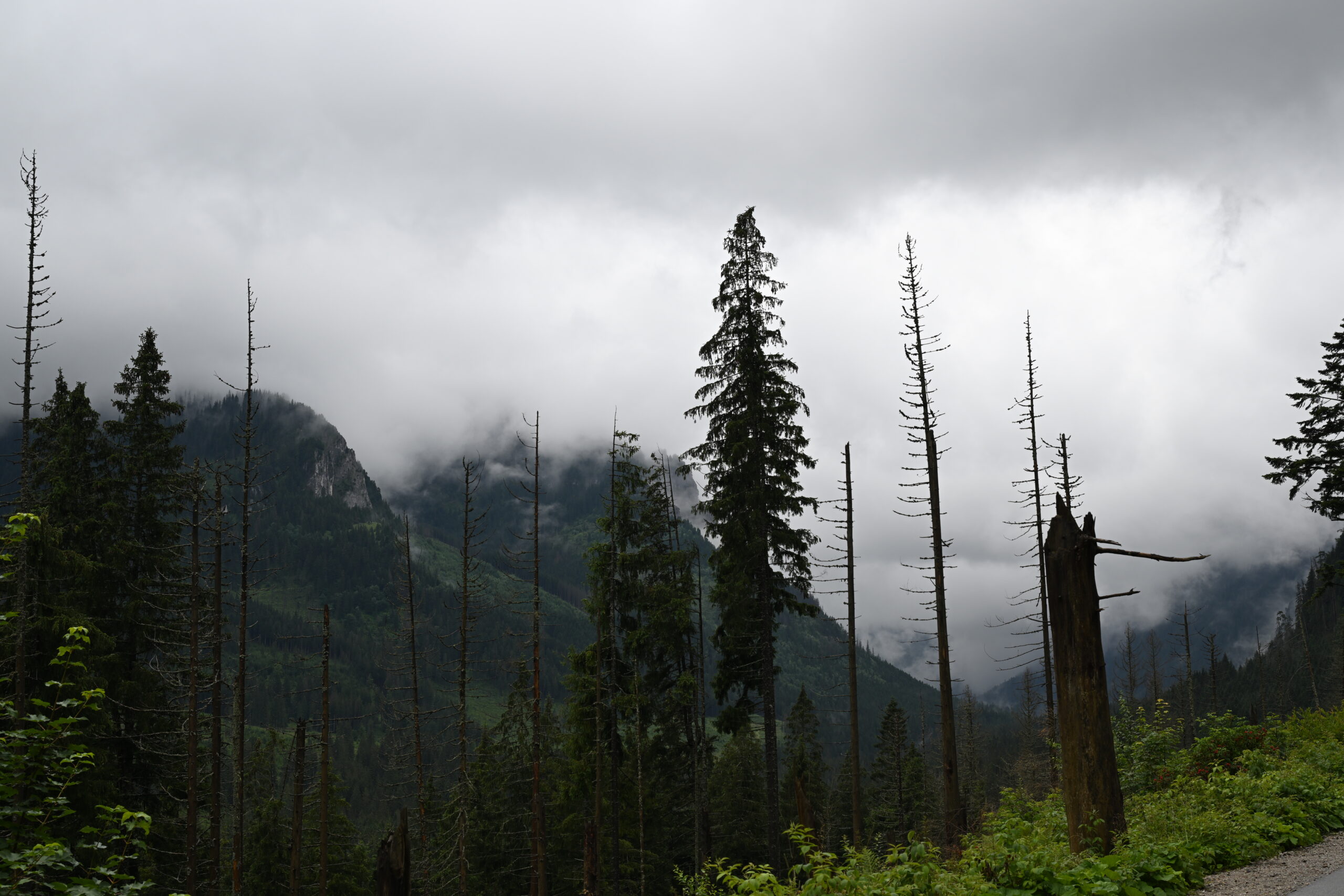 2026_07_24_Morskie_Oko_018