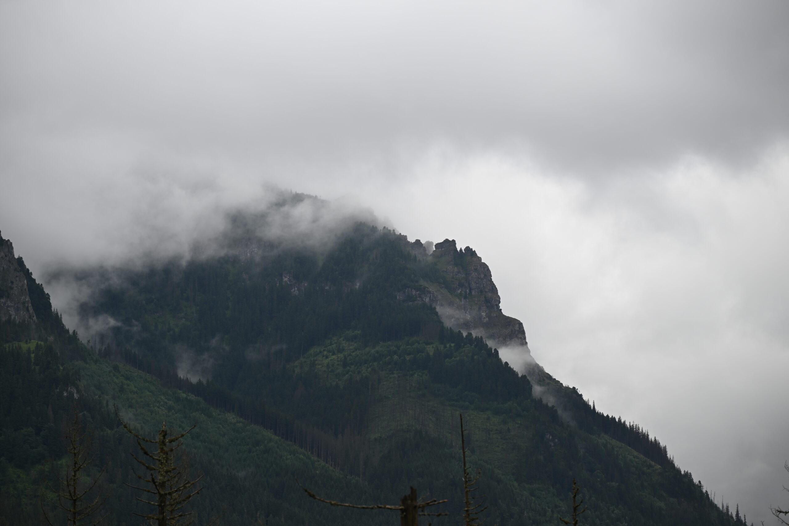 2026_07_24_Morskie_Oko_019