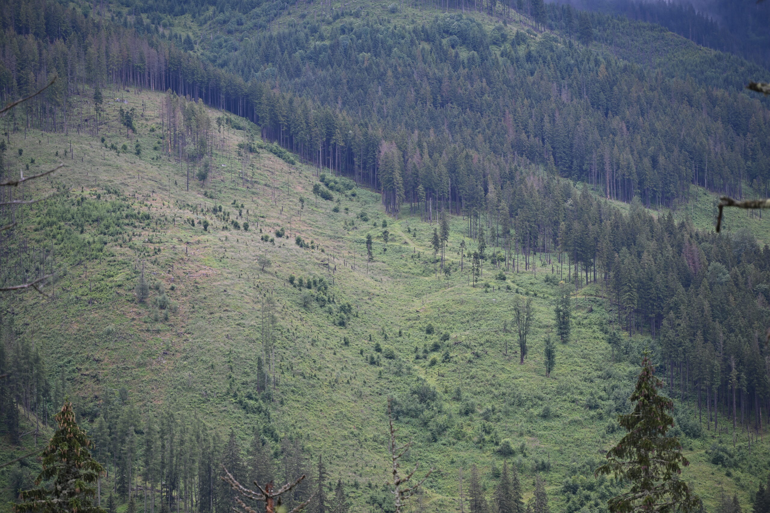 2026_07_24_Morskie_Oko_021