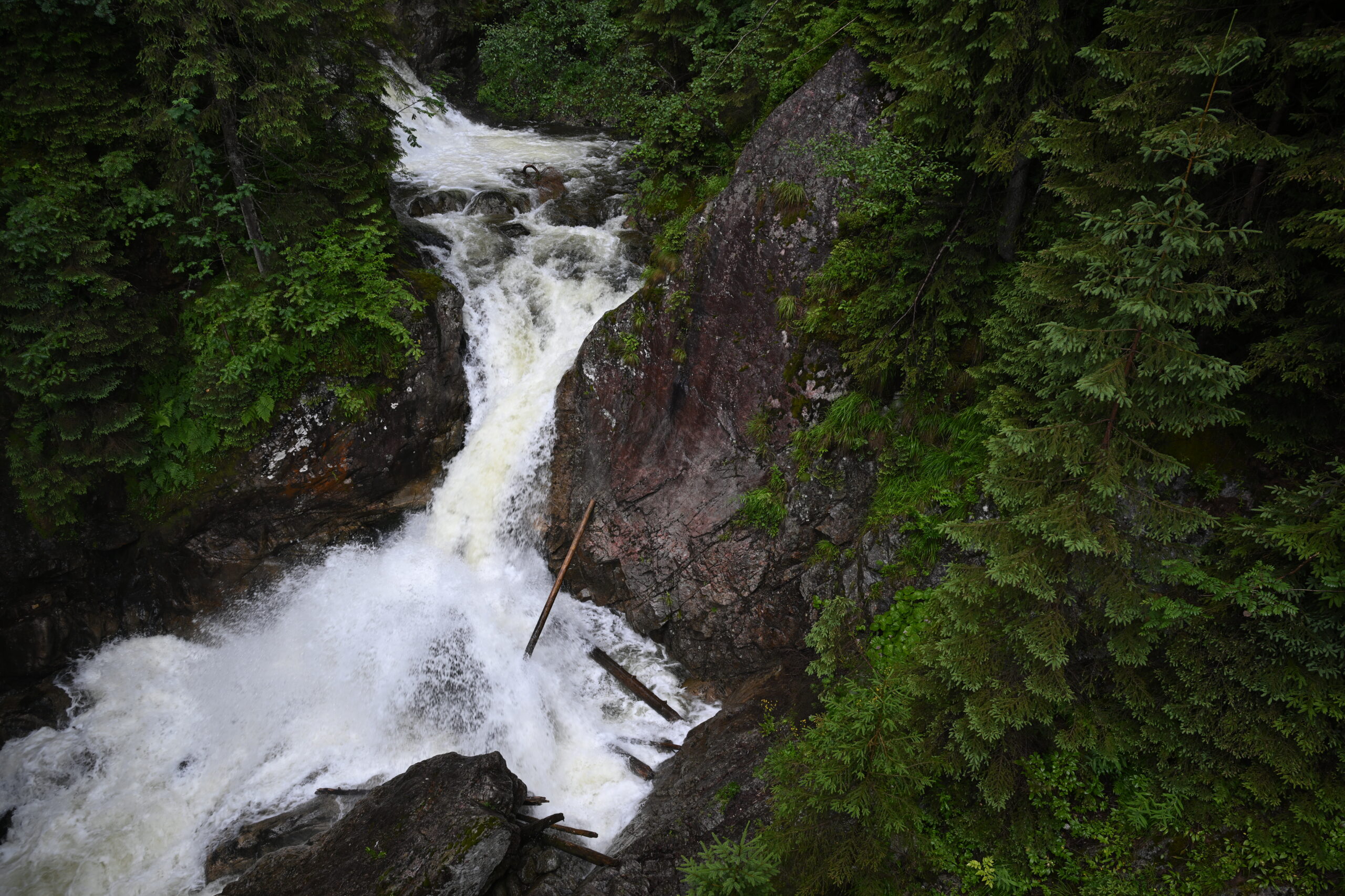 2026_07_24_Morskie_Oko_027