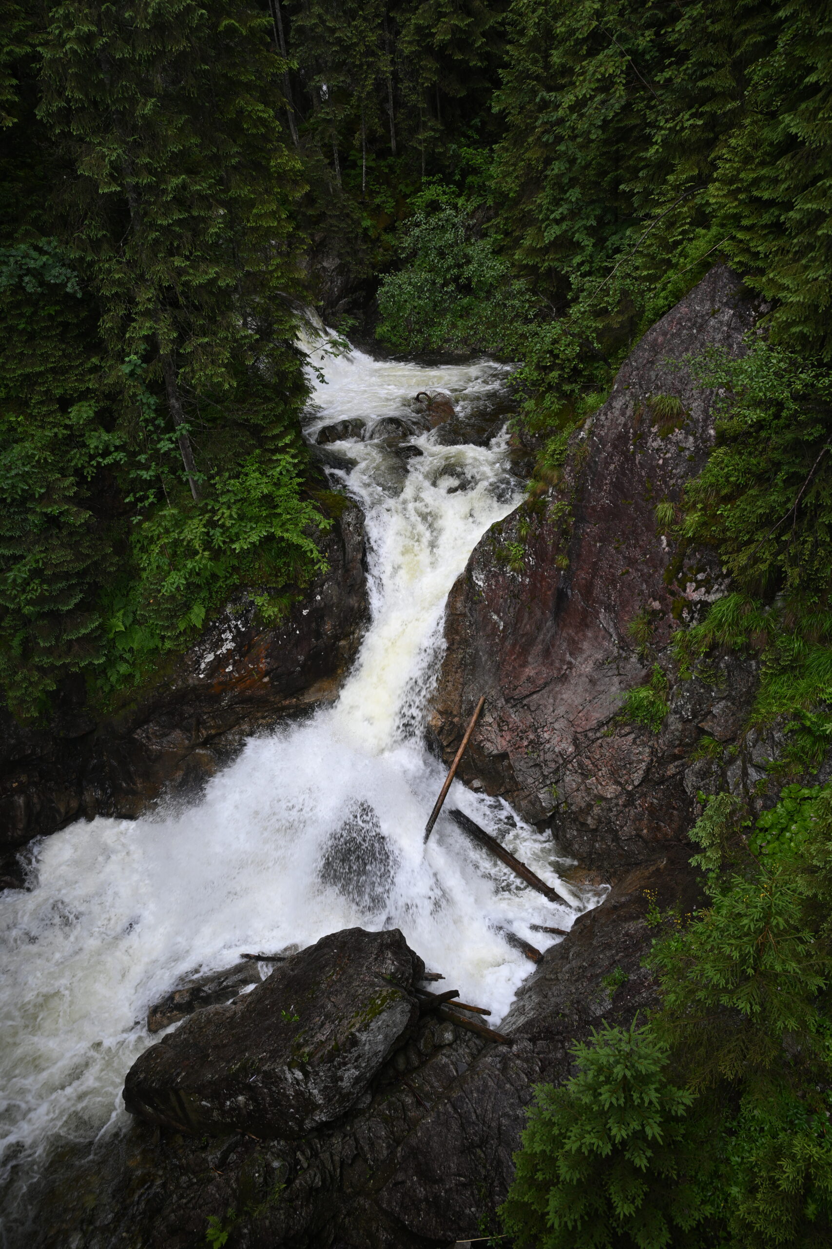 2026_07_24_Morskie_Oko_028