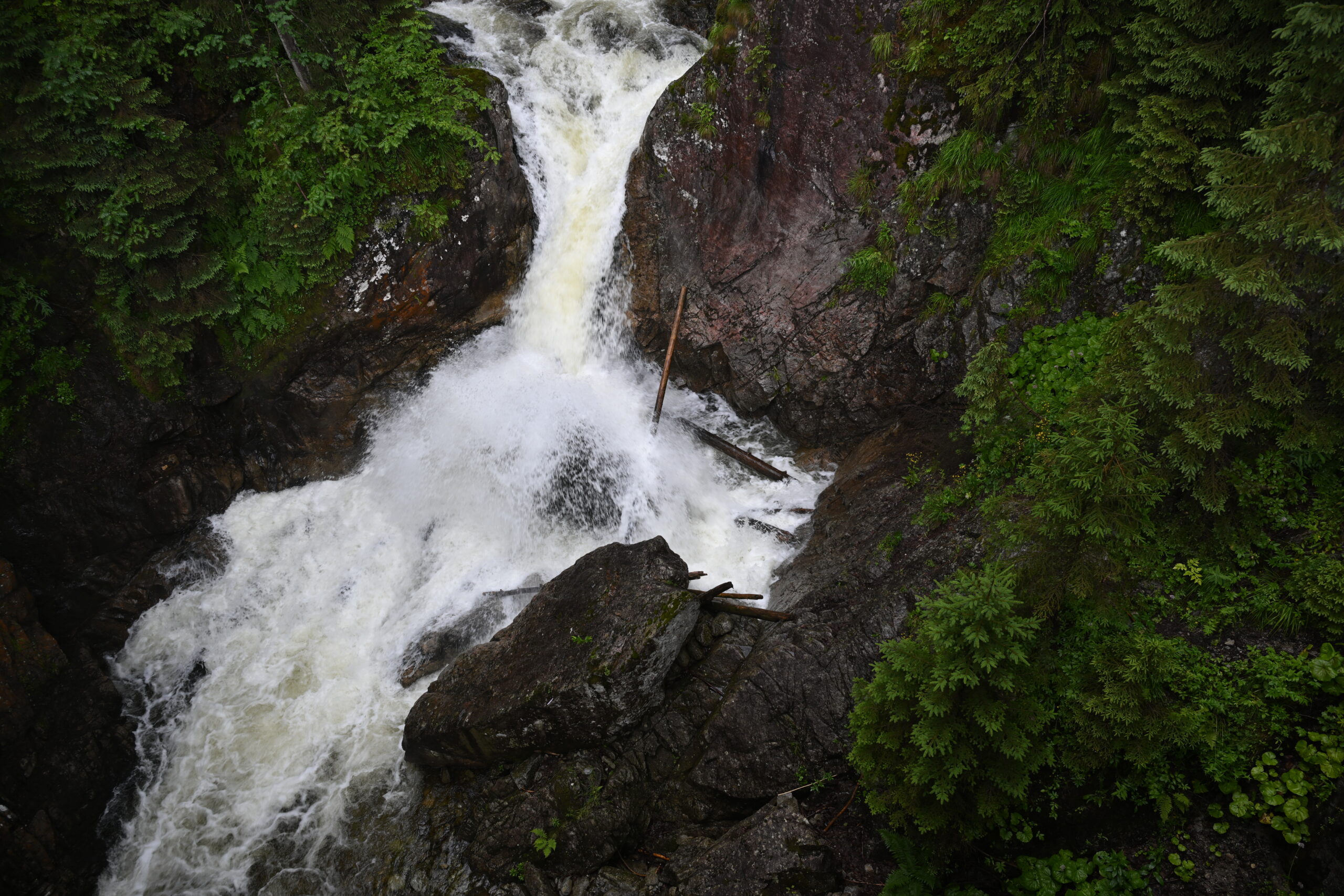 2026_07_24_Morskie_Oko_030