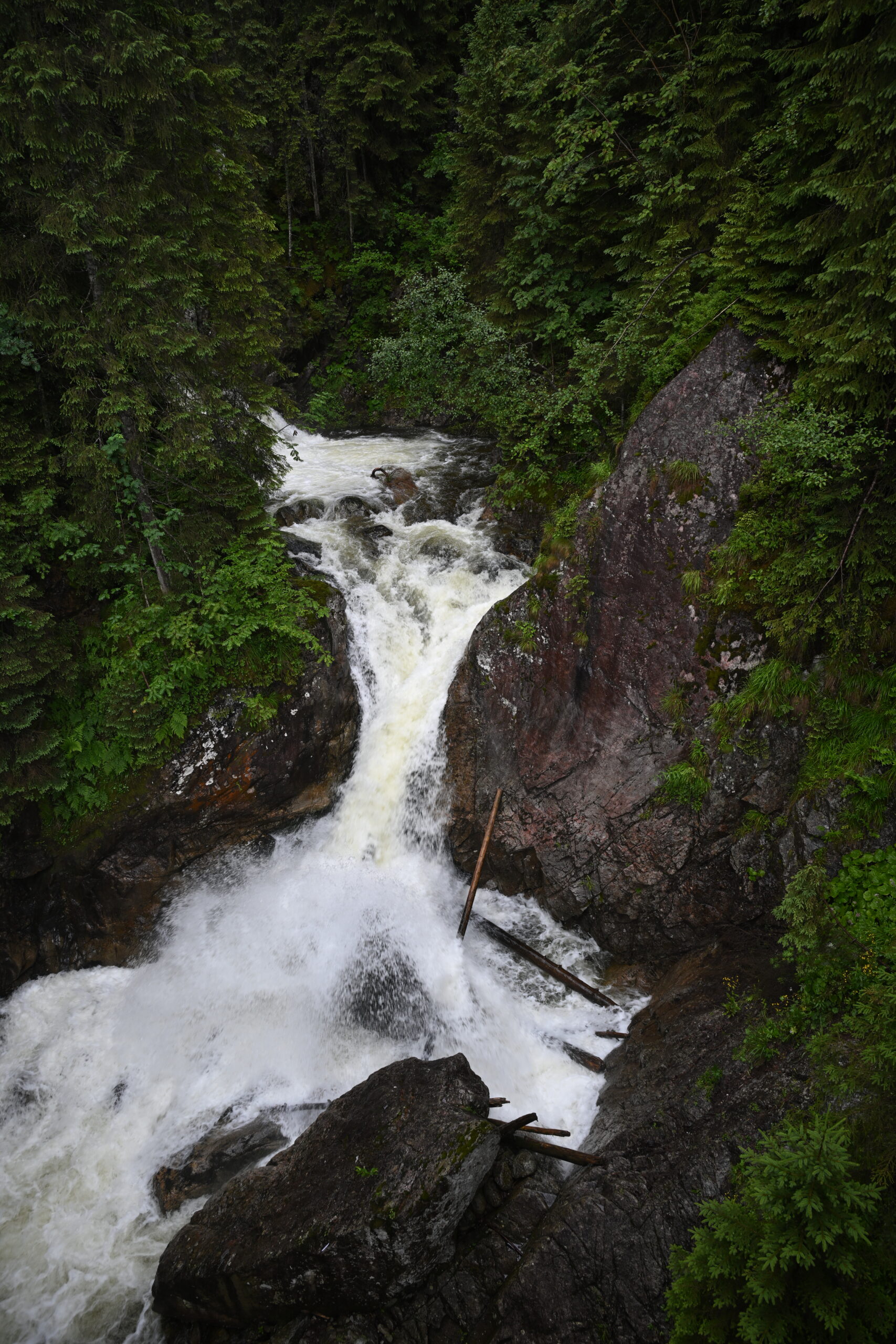 2026_07_24_Morskie_Oko_031