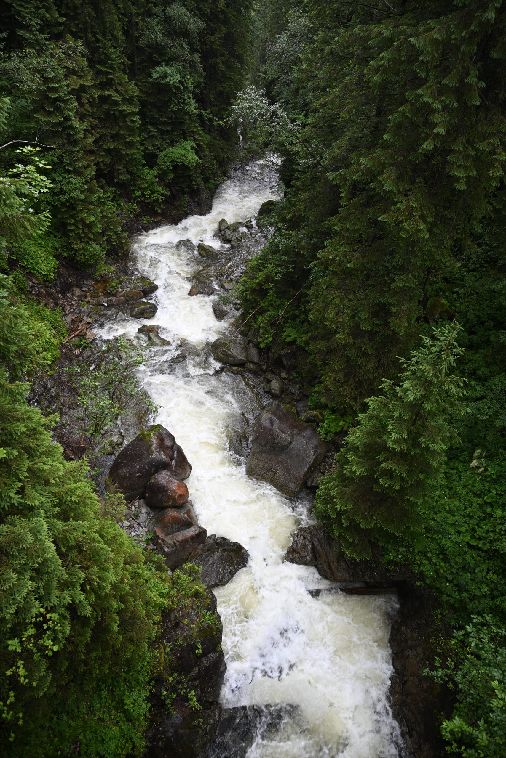 2026_07_24_Morskie_Oko_032