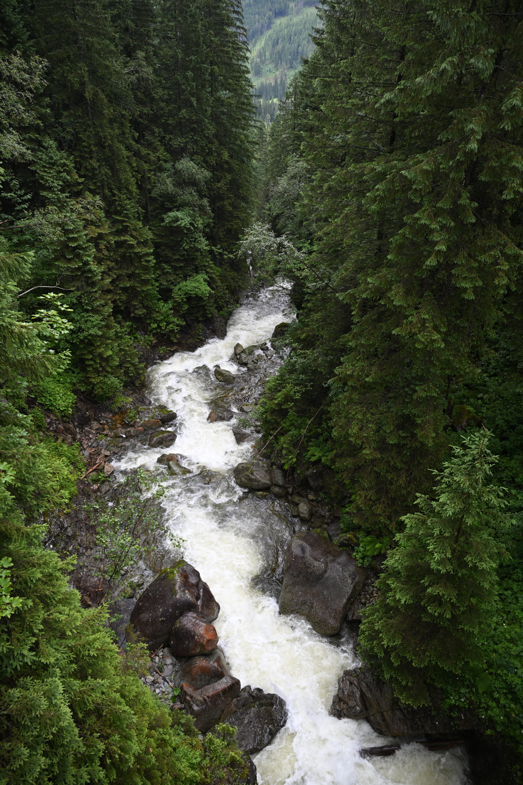 2026_07_24_Morskie_Oko_033