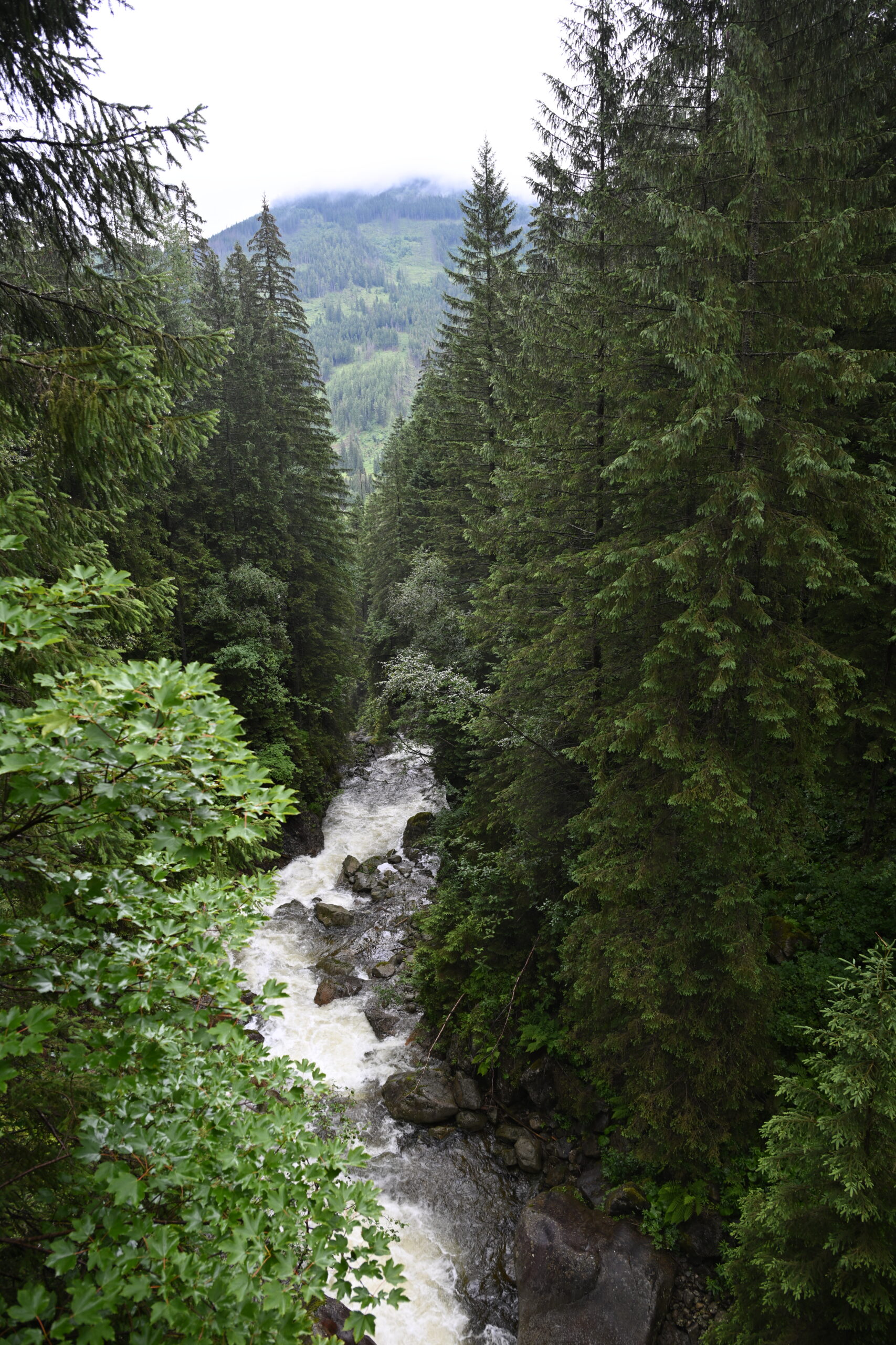2026_07_24_Morskie_Oko_034