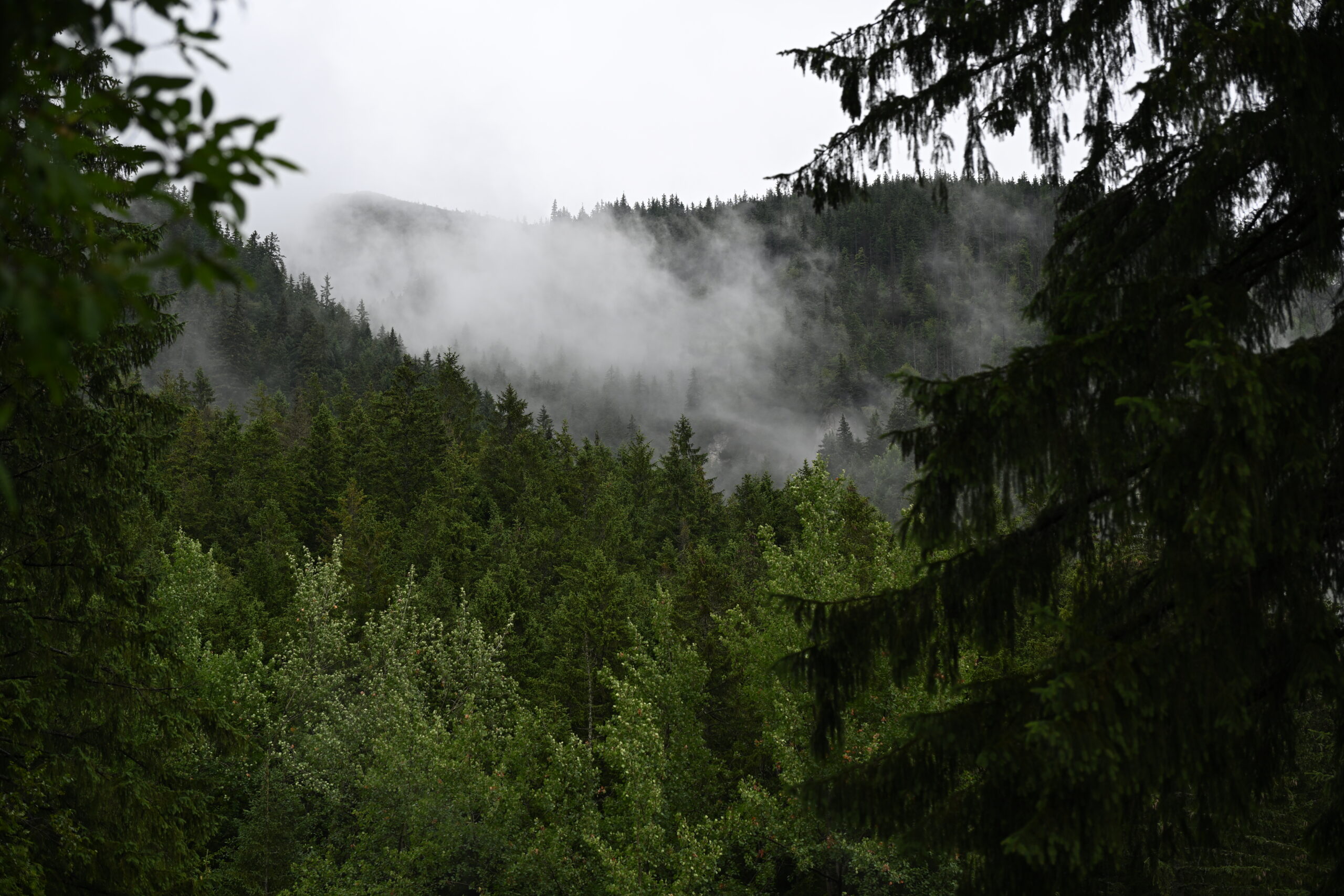 2026_07_24_Morskie_Oko_036