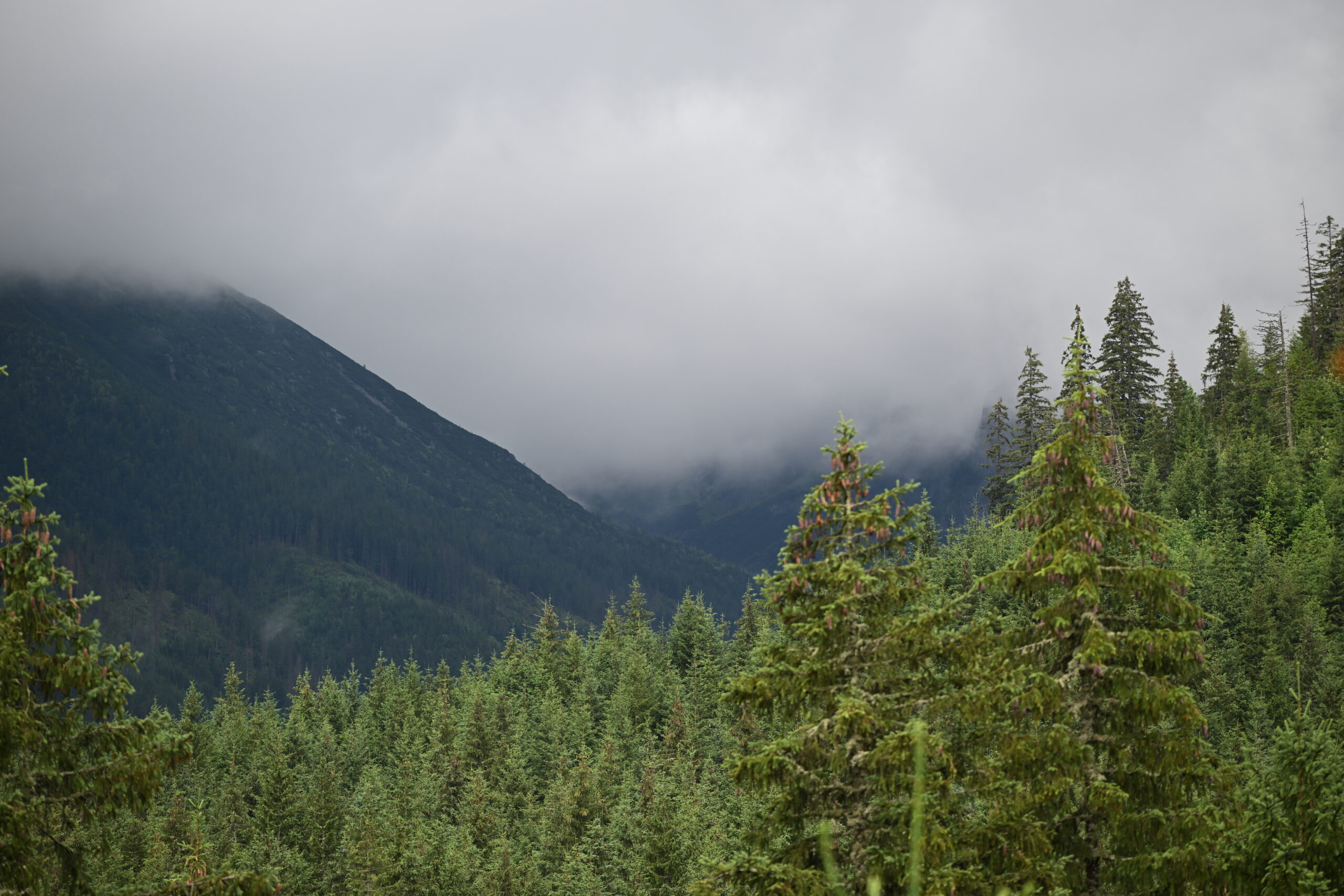2026_07_24_Morskie_Oko_050