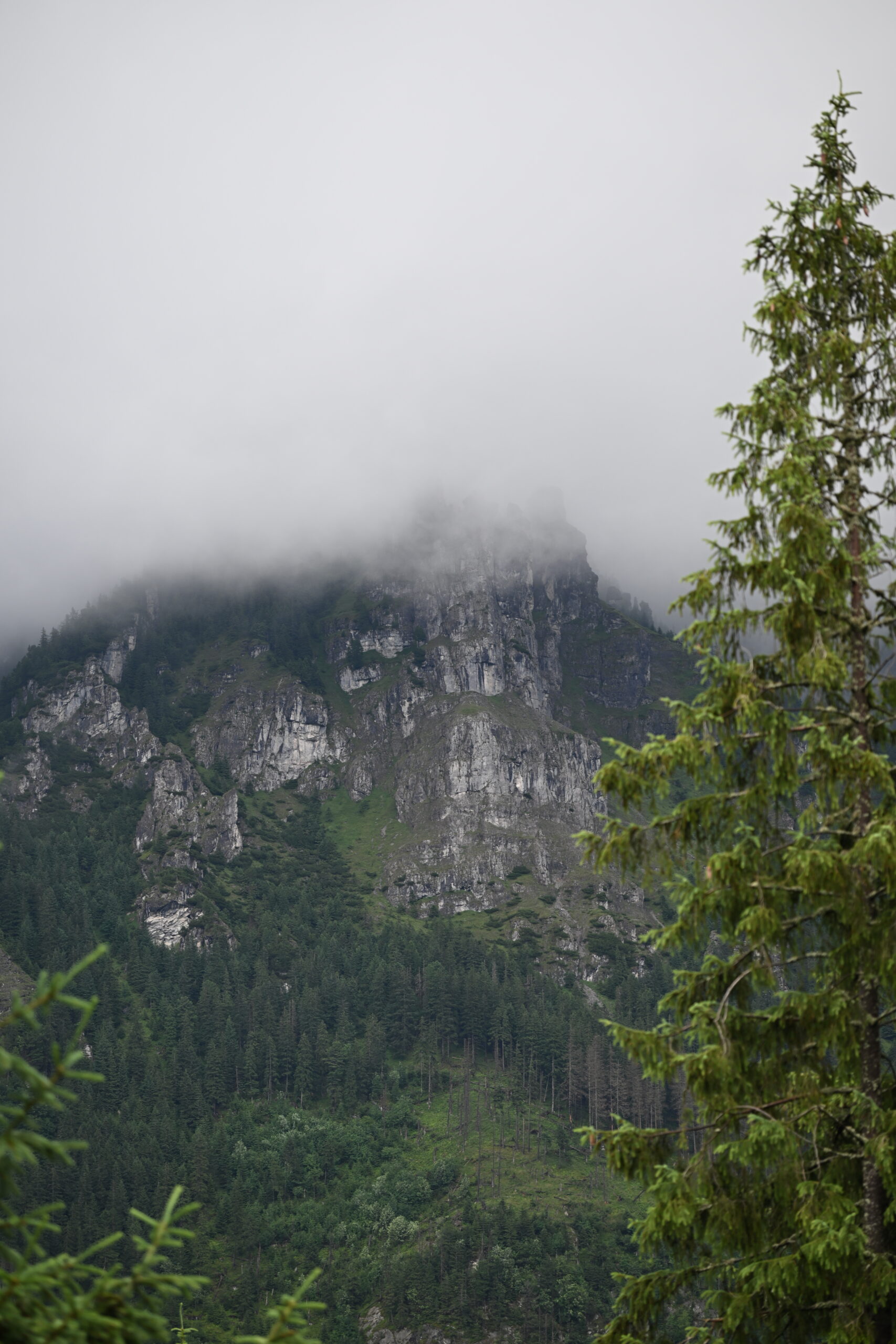 2026_07_24_Morskie_Oko_052
