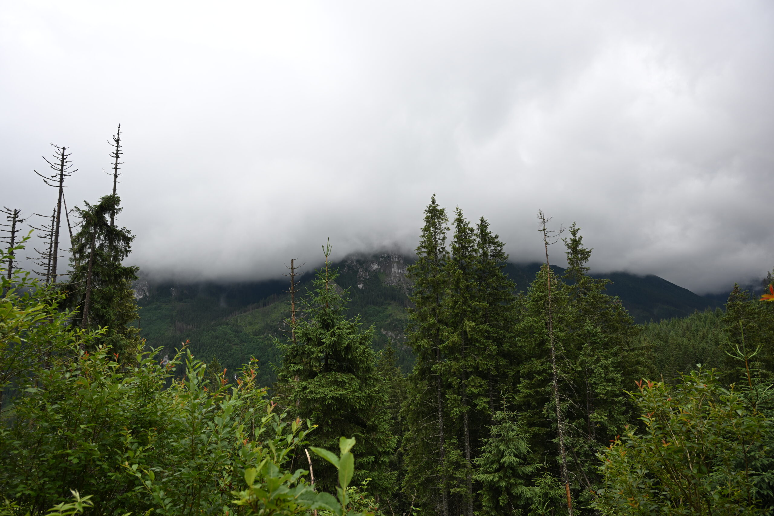2026_07_24_Morskie_Oko_053