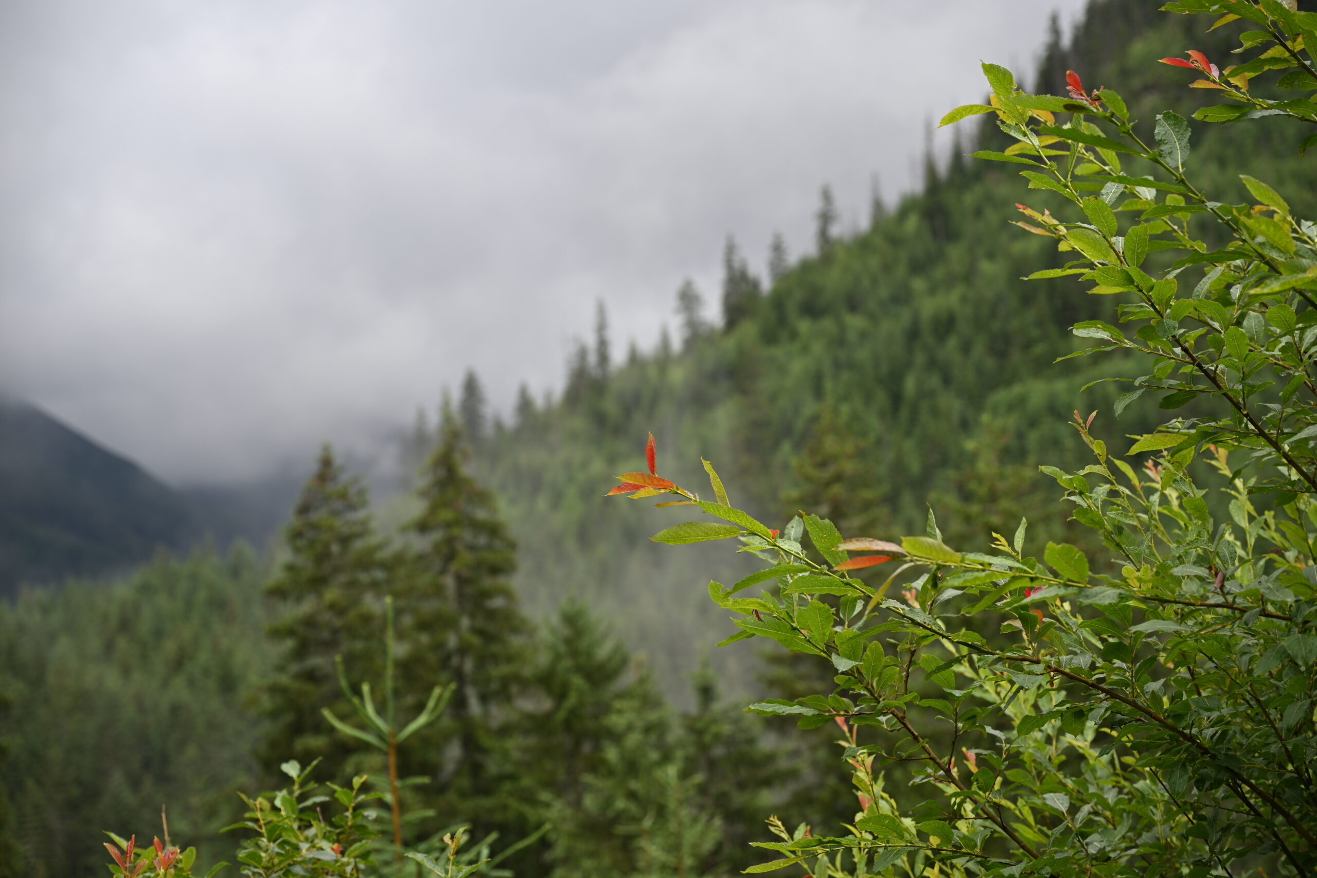 2026_07_24_Morskie_Oko_055