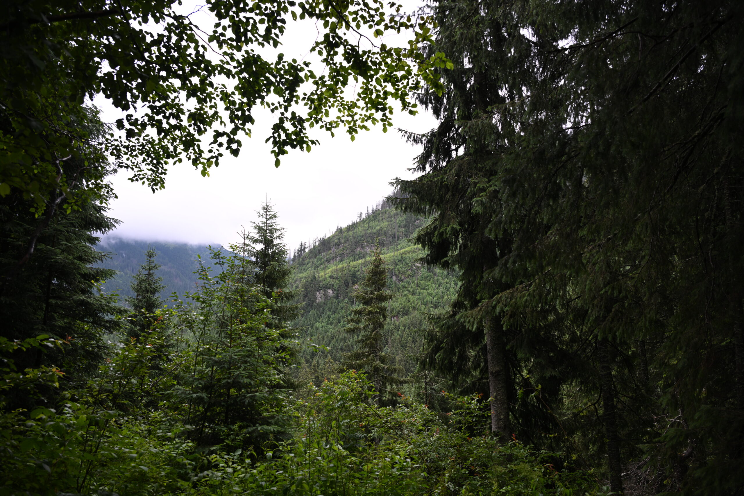 2026_07_24_Morskie_Oko_060