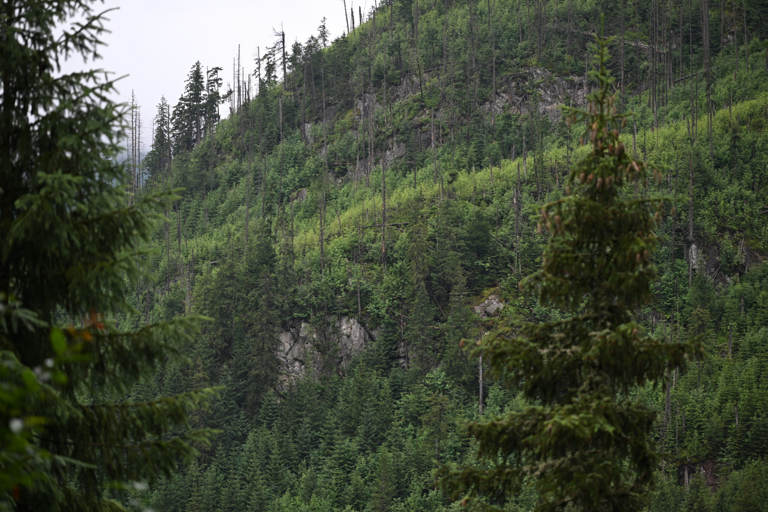 2026_07_24_Morskie_Oko_061