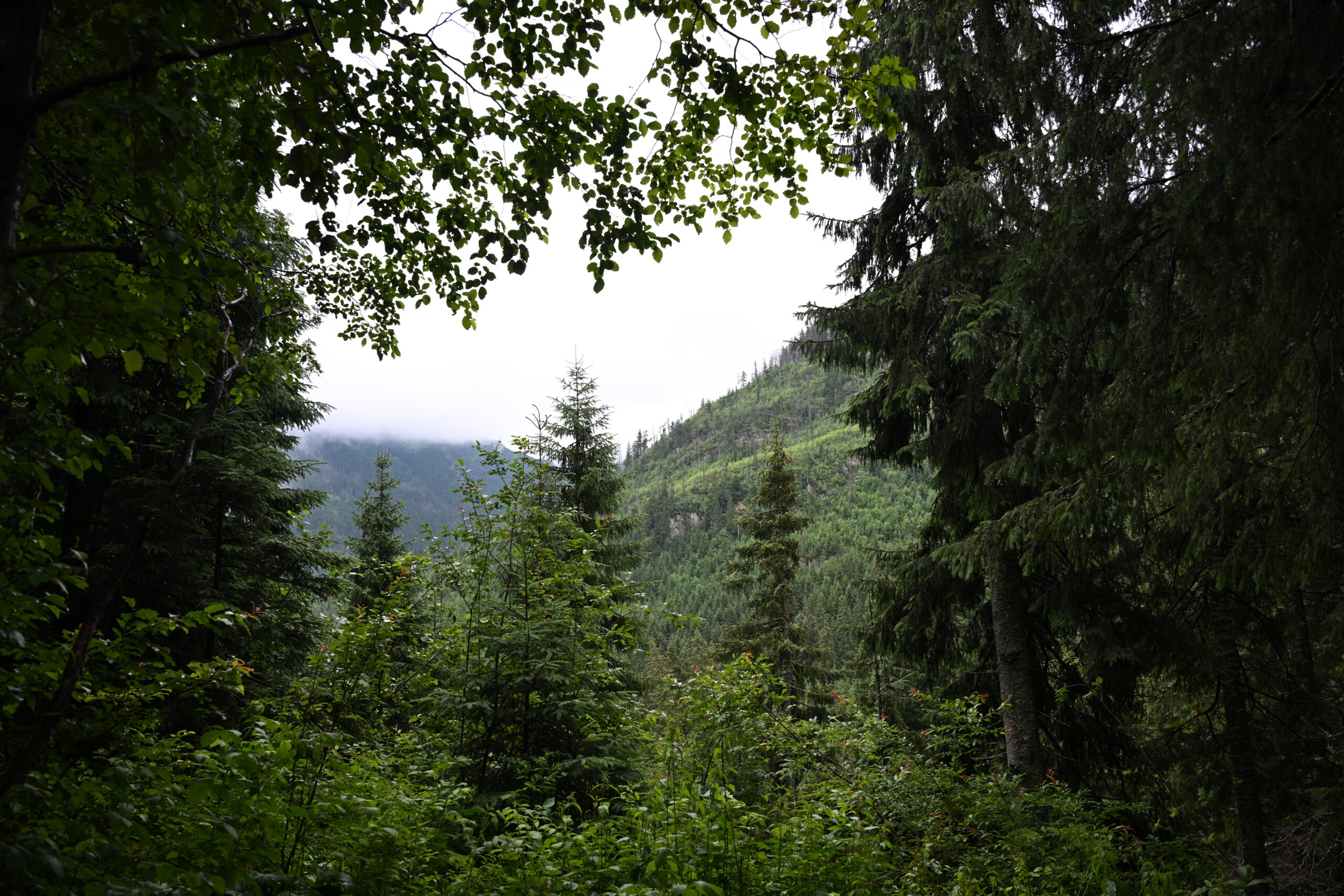 2026_07_24_Morskie_Oko_062