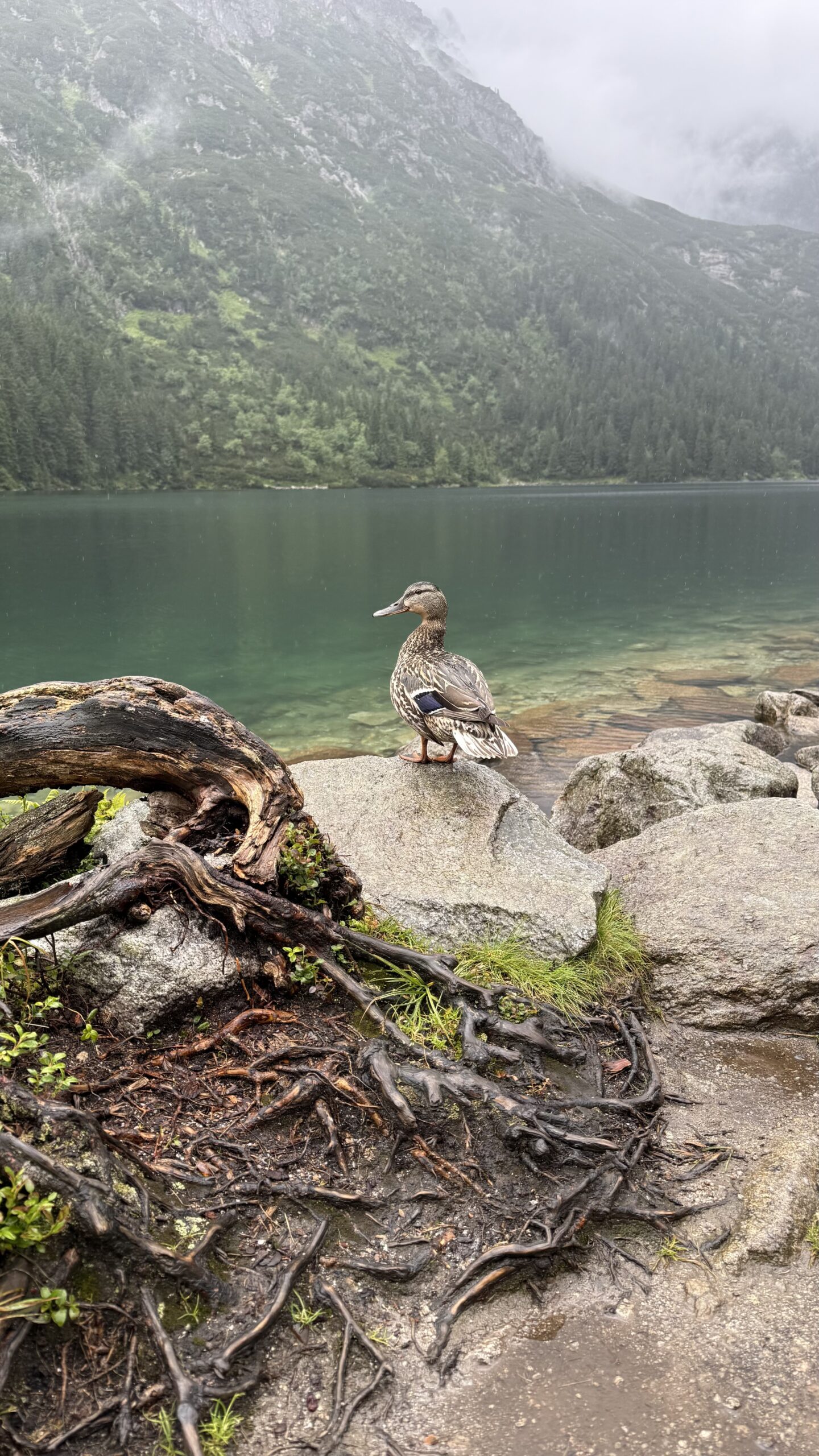 2026_07_24_Morskie_Oko_063