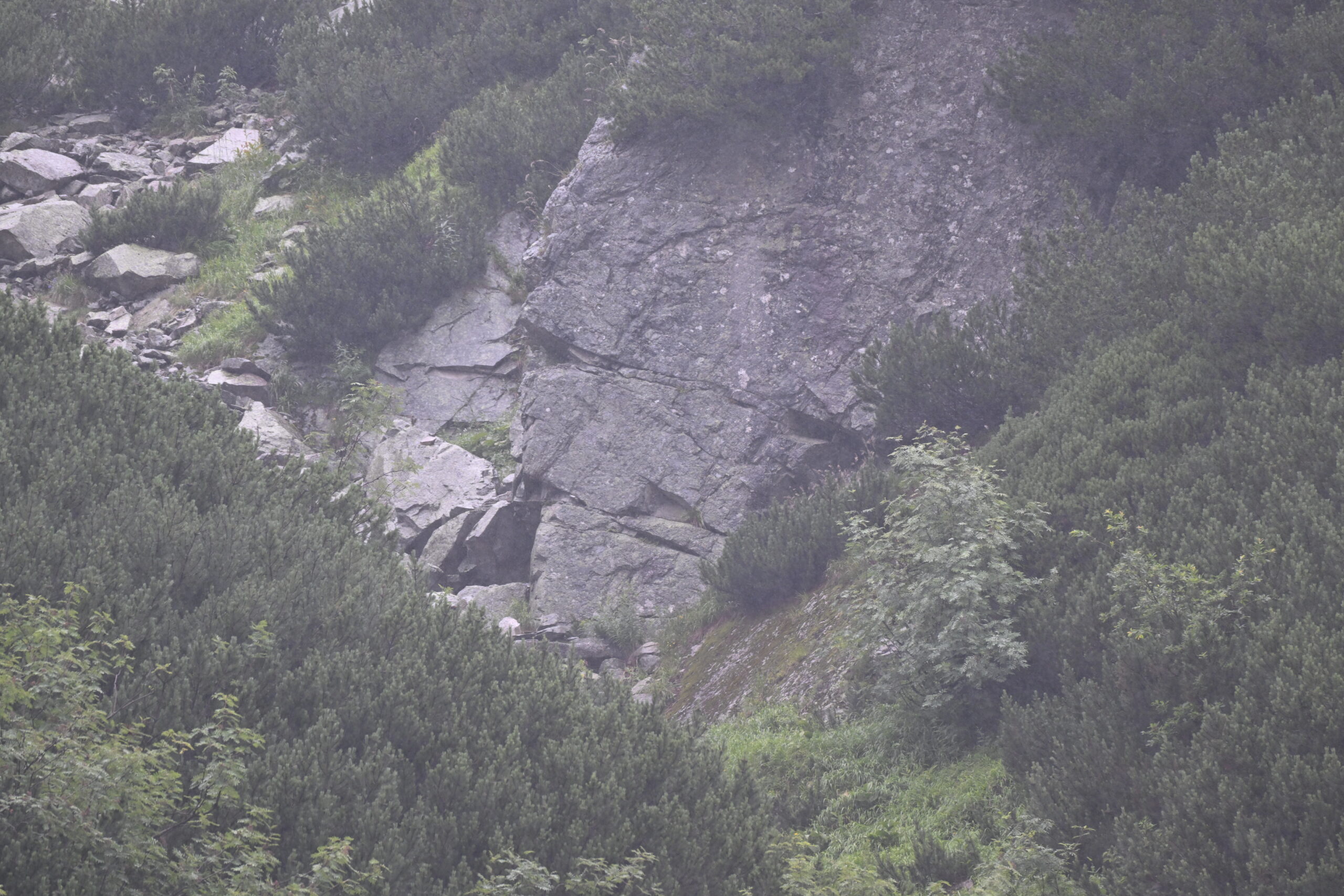 2026_07_24_Morskie_Oko_082