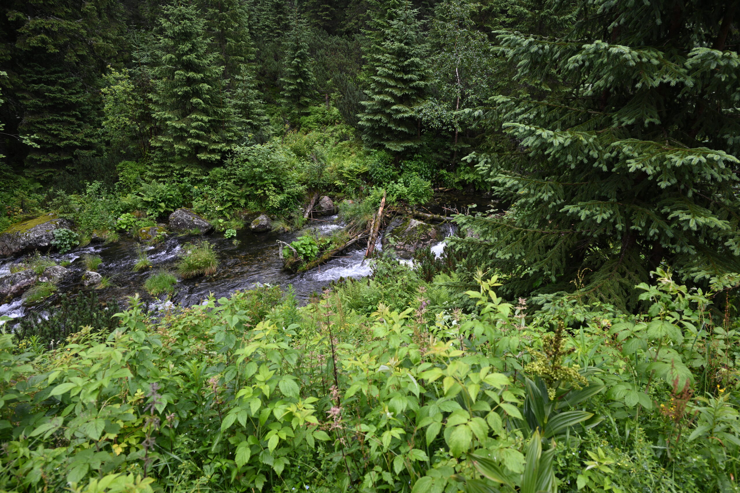 2026_07_24_Morskie_Oko_095