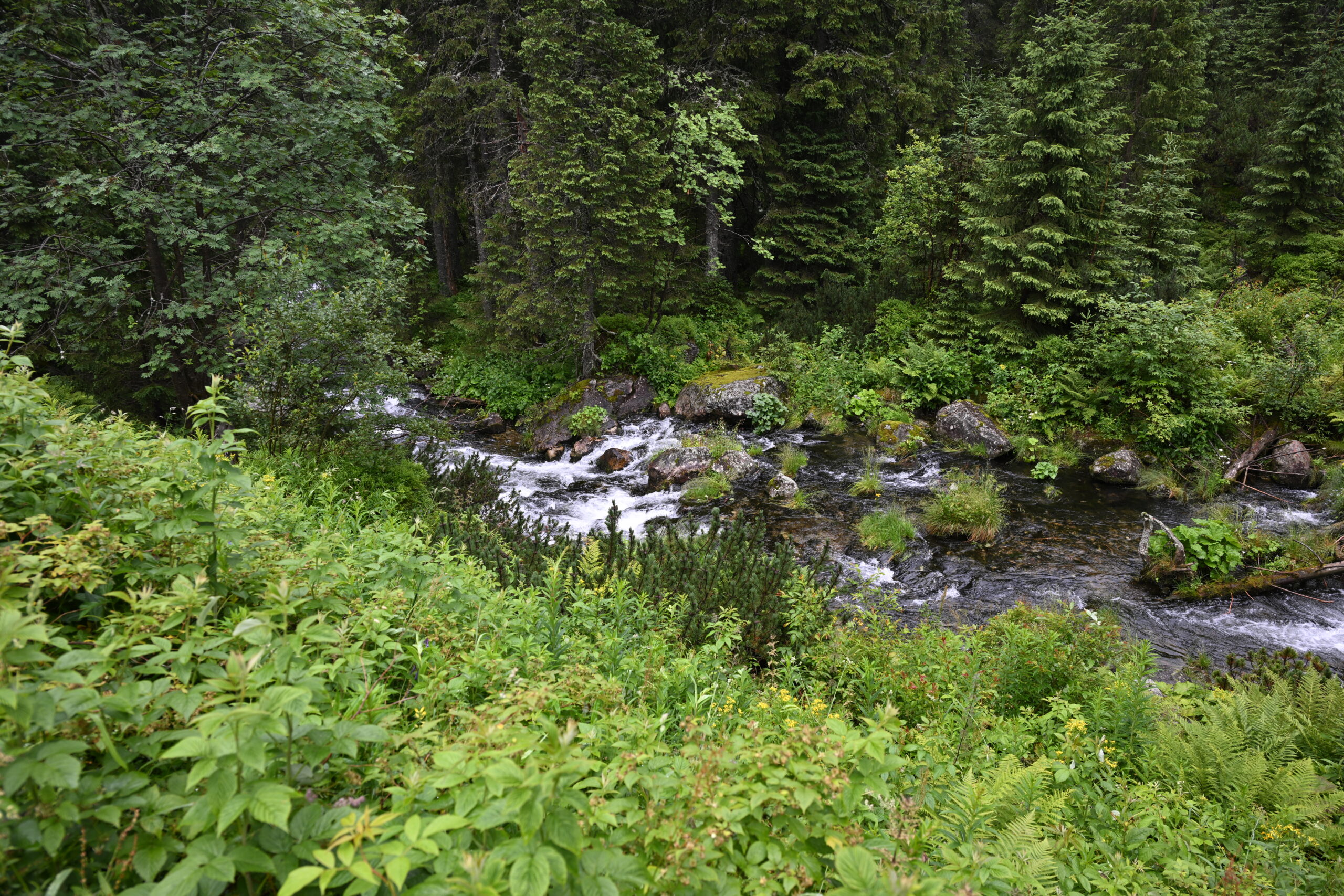 2026_07_24_Morskie_Oko_096