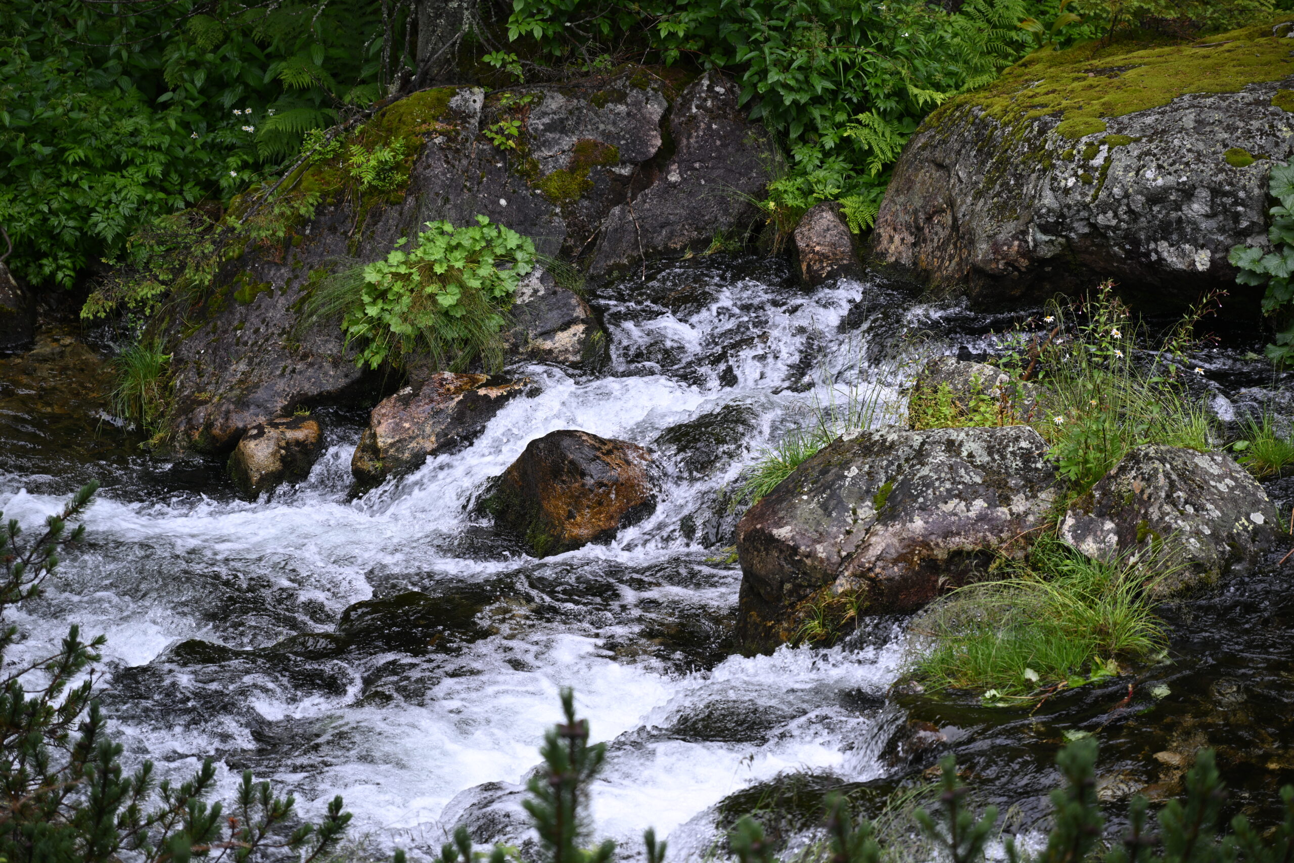 2026_07_24_Morskie_Oko_097