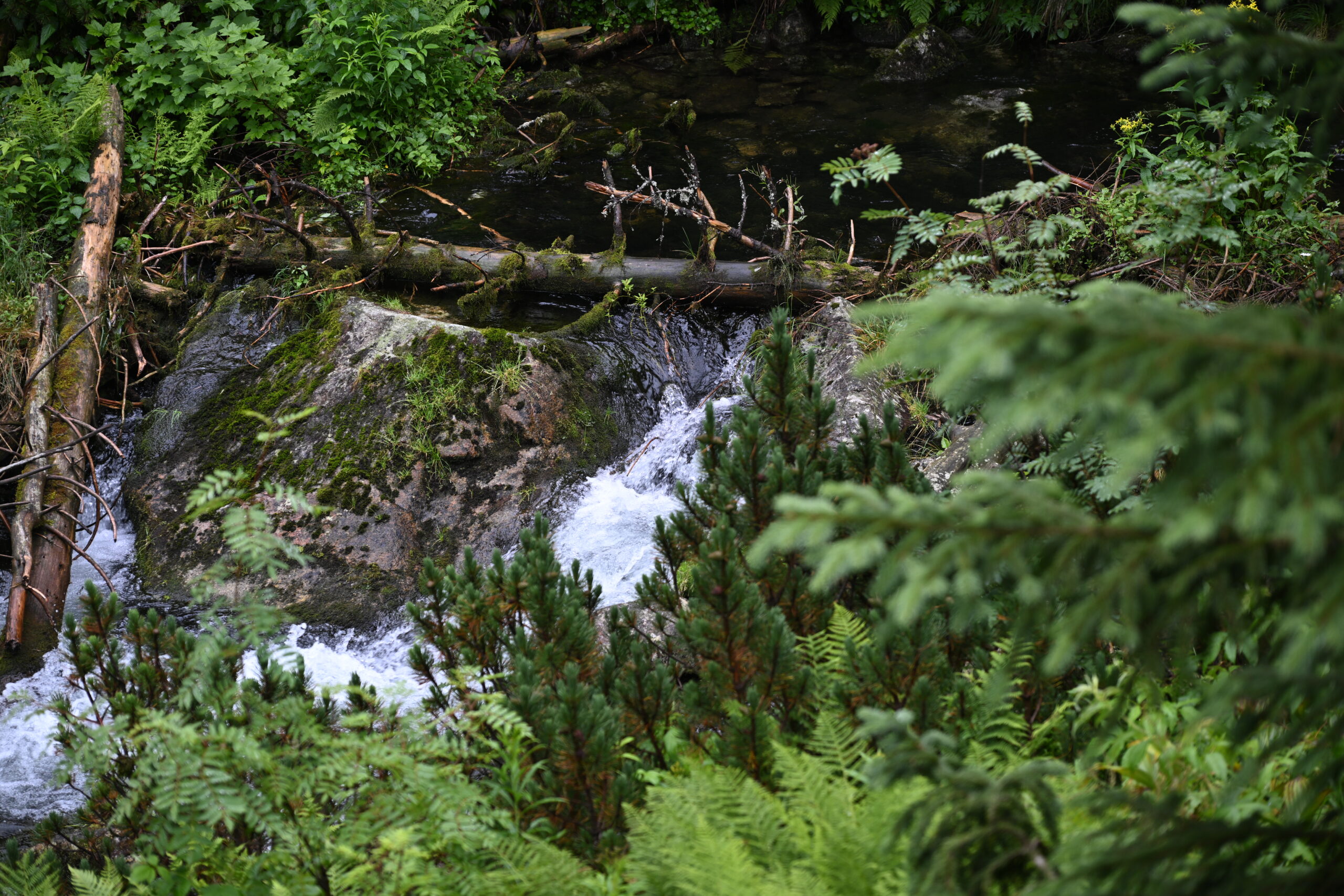 2026_07_24_Morskie_Oko_098
