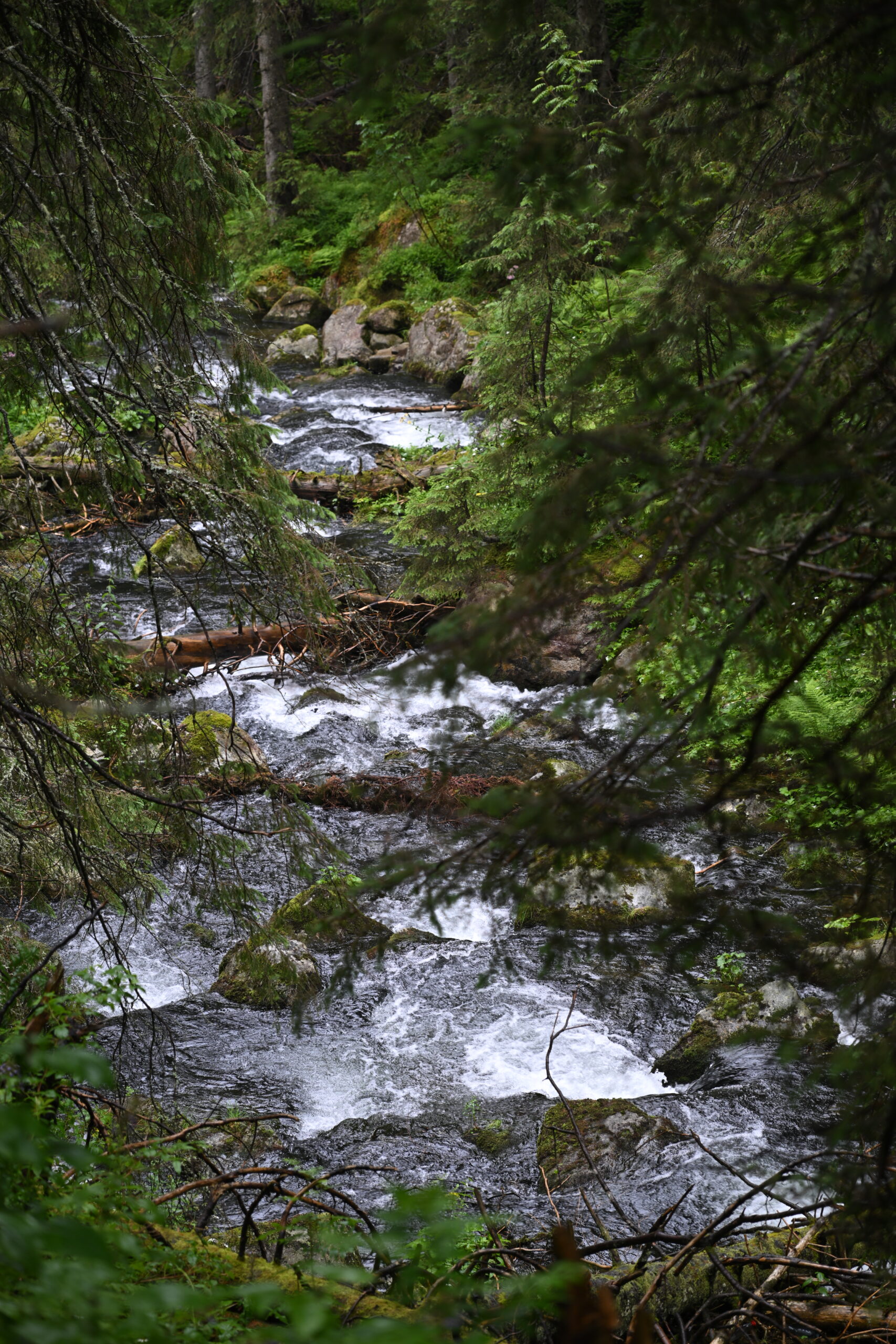 2026_07_24_Morskie_Oko_107