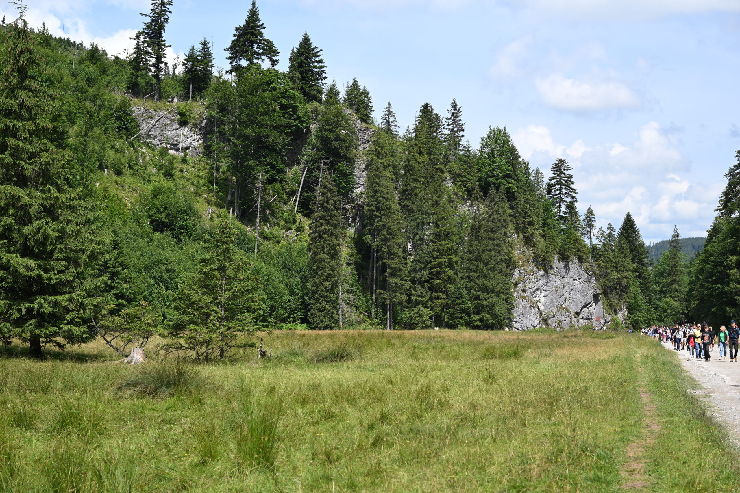 2026_07_25_Dolina_Koscieliska_009