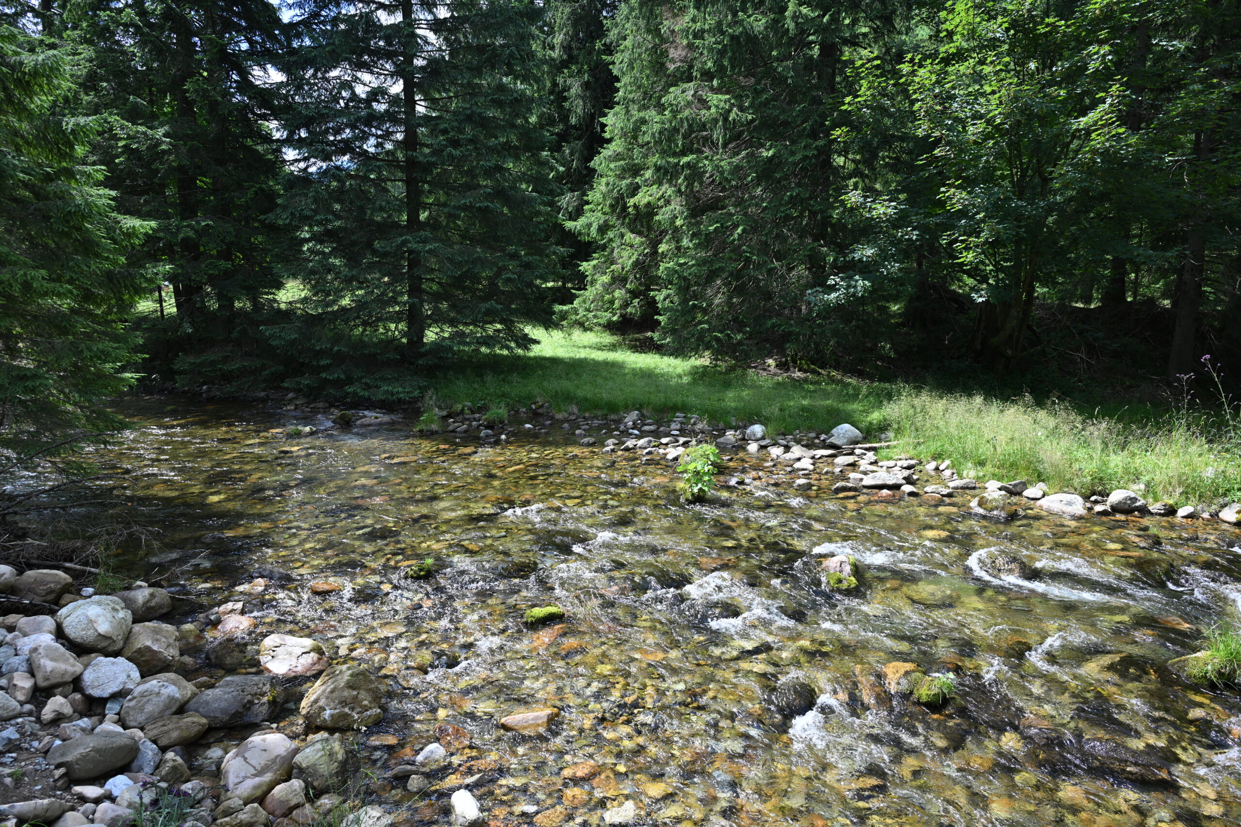 2026_07_25_Dolina_Koscieliska_011