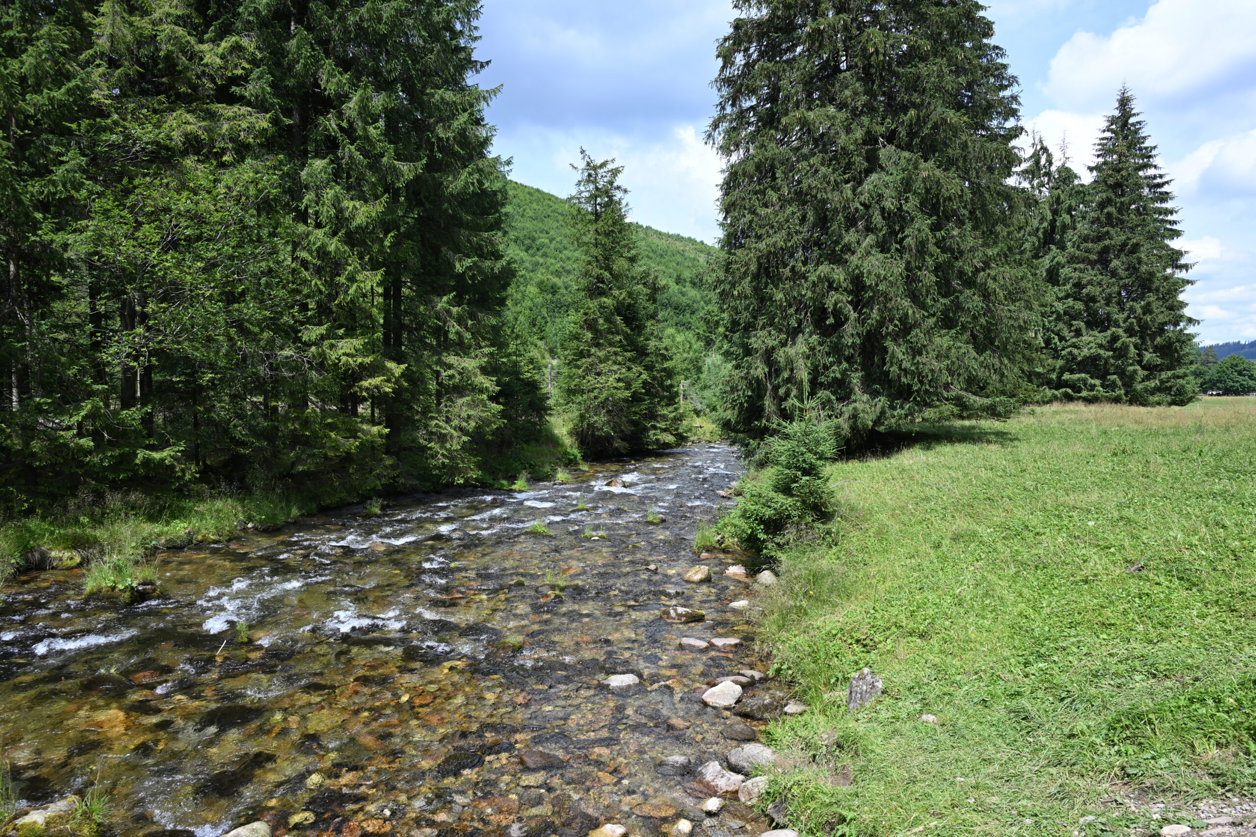 2026_07_25_Dolina_Koscieliska_014