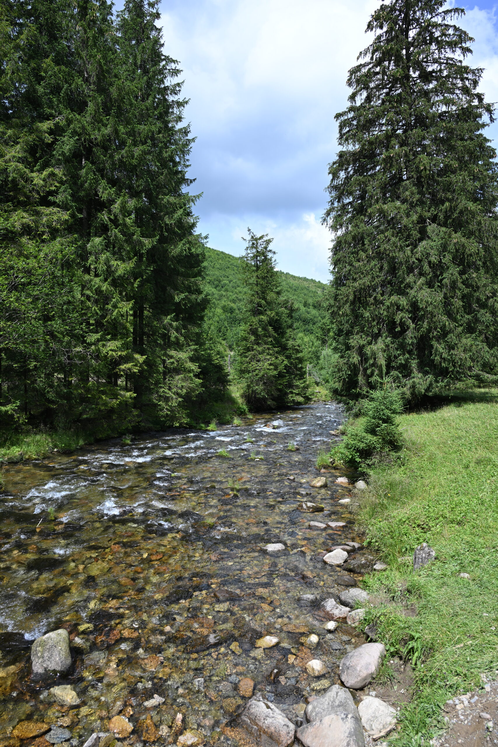 2026_07_25_Dolina_Koscieliska_015