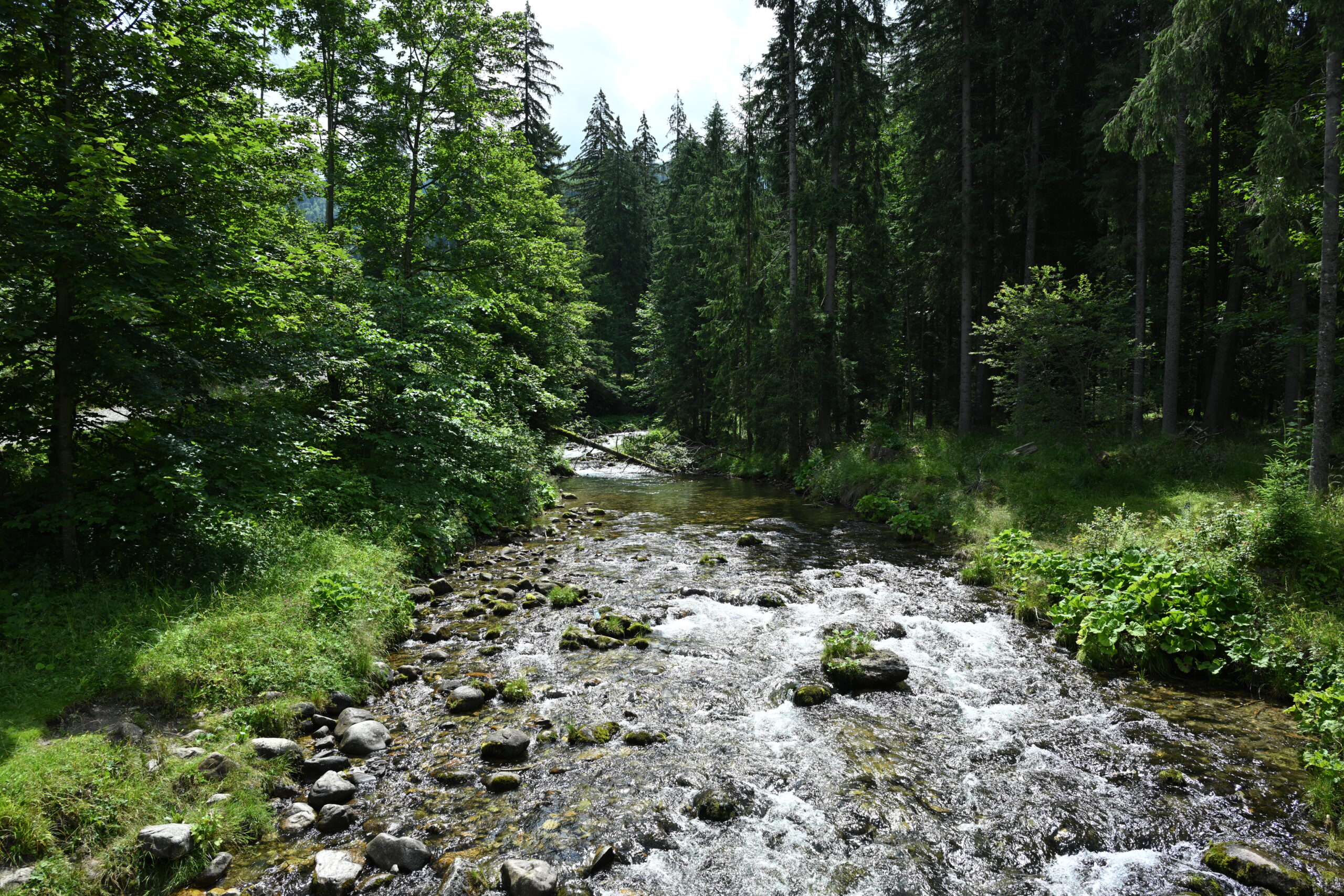 2026_07_25_Dolina_Koscieliska_016
