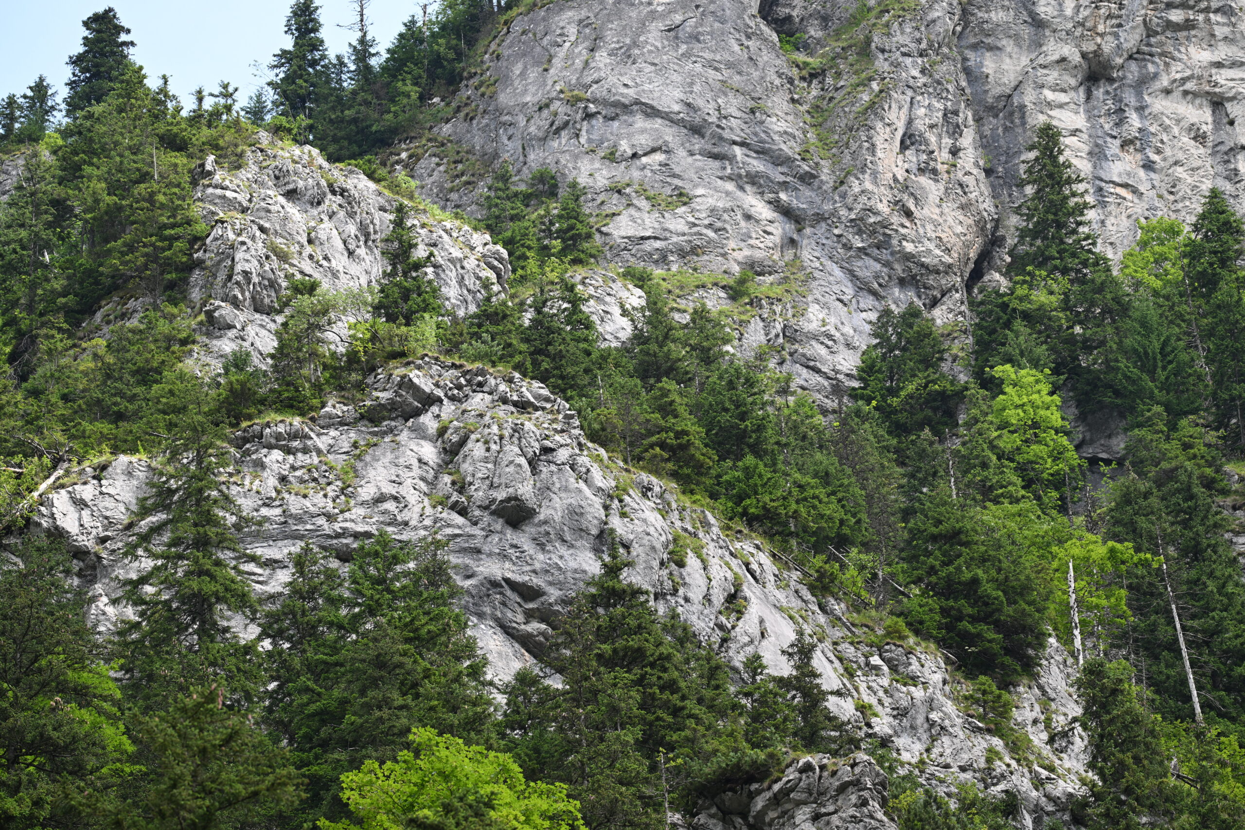 2026_07_25_Dolina_Koscieliska_055