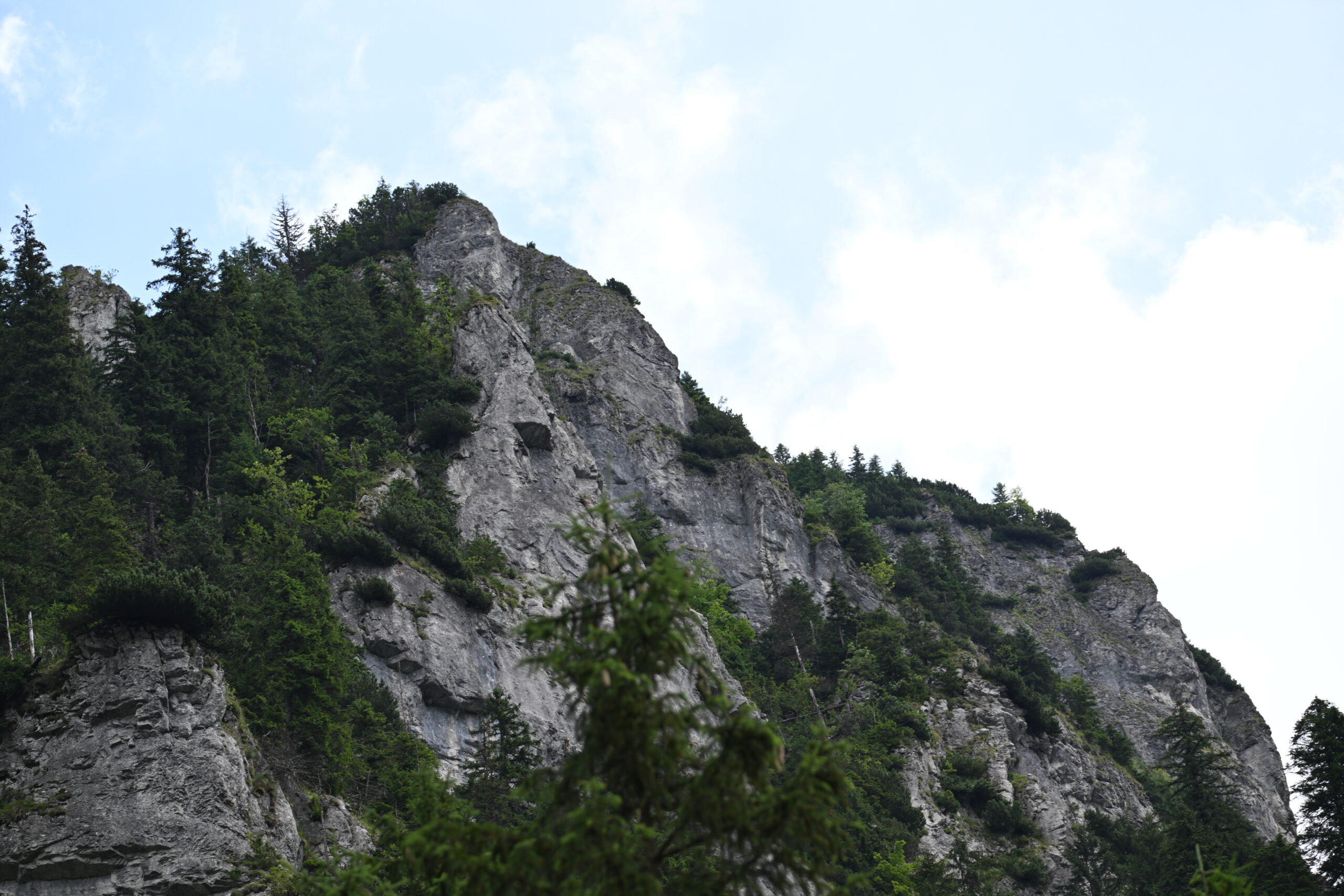 2026_07_25_Dolina_Koscieliska_062